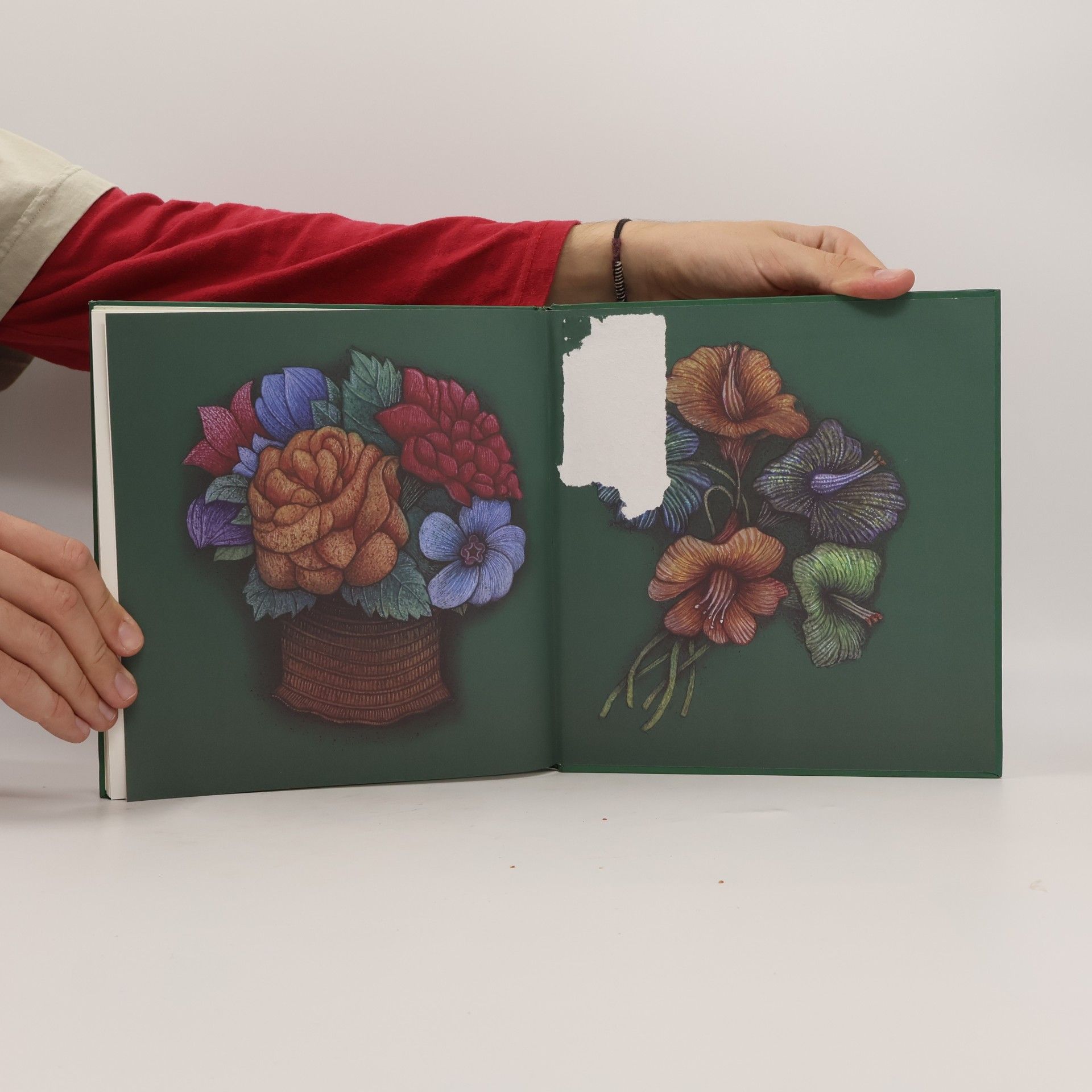 Gabriela Kopcová Märchen aus dem Garten / Zahrady plné pohádek