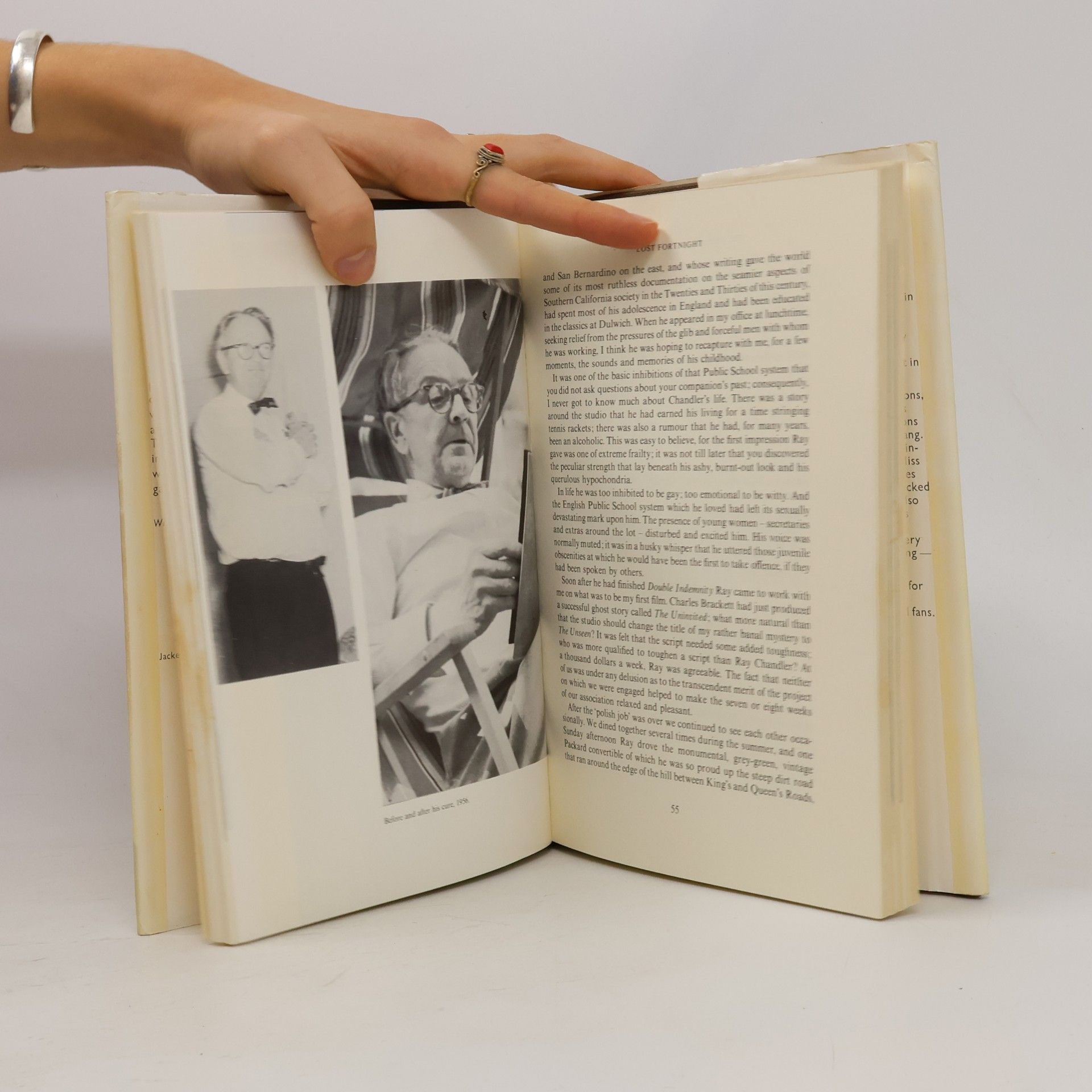 Miriam Gross The World of Raymond Chandler