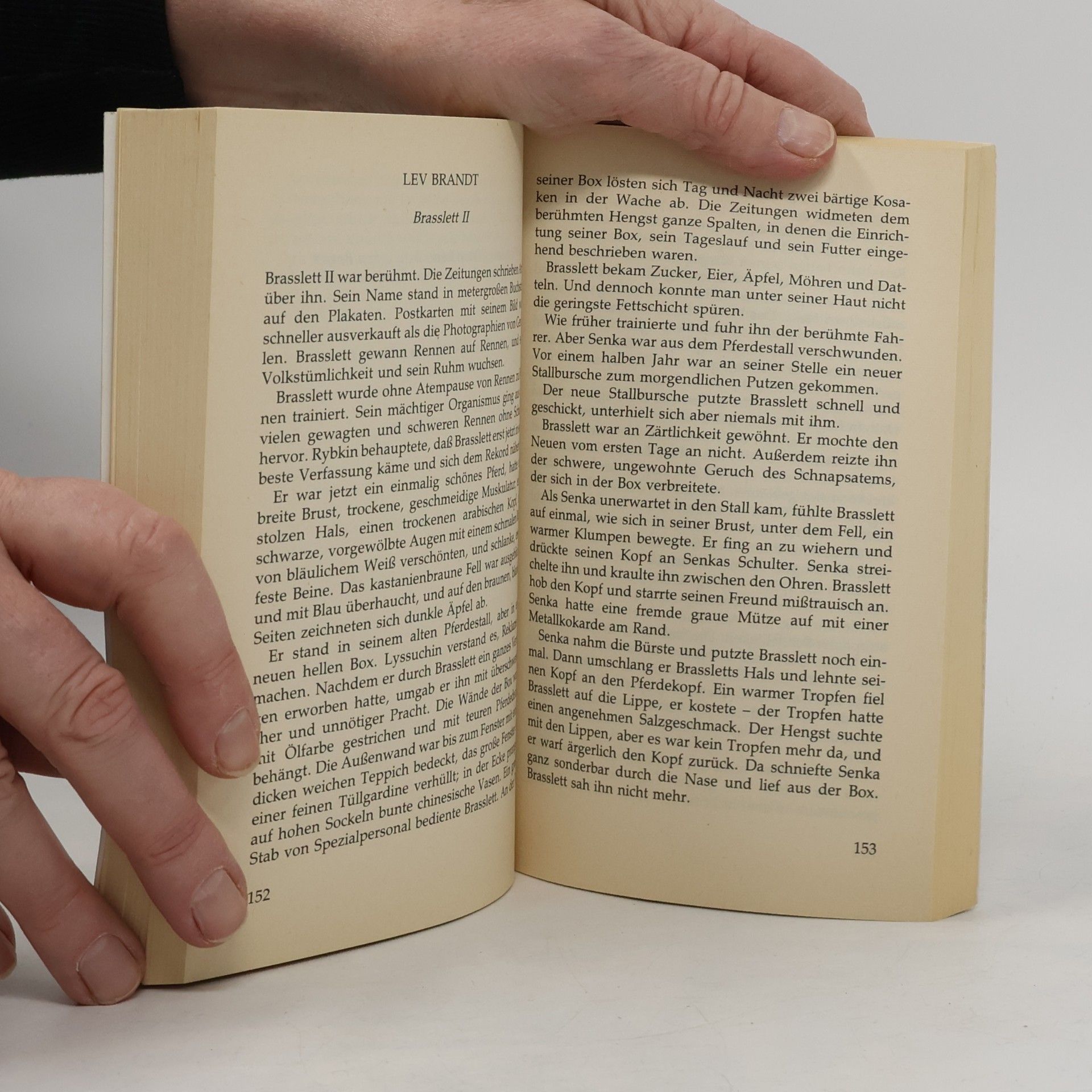 Turgenjew Allgemeine Reihe. Bastei Lübbe Taschenbücher: Die schönsten Pferdegeschichten aus dem alten Russland
