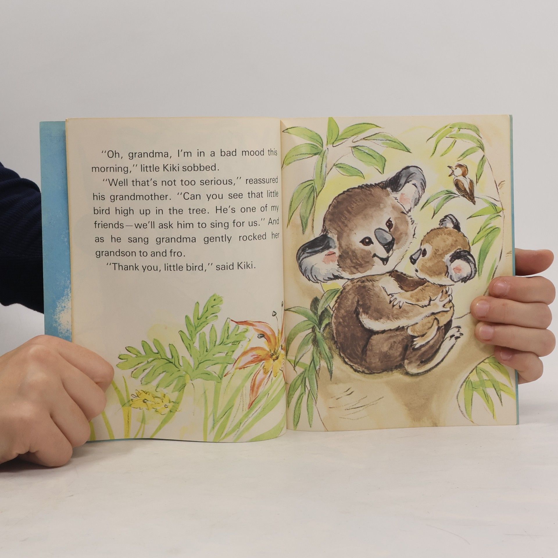Autorenkollektiv Kiki the Koala