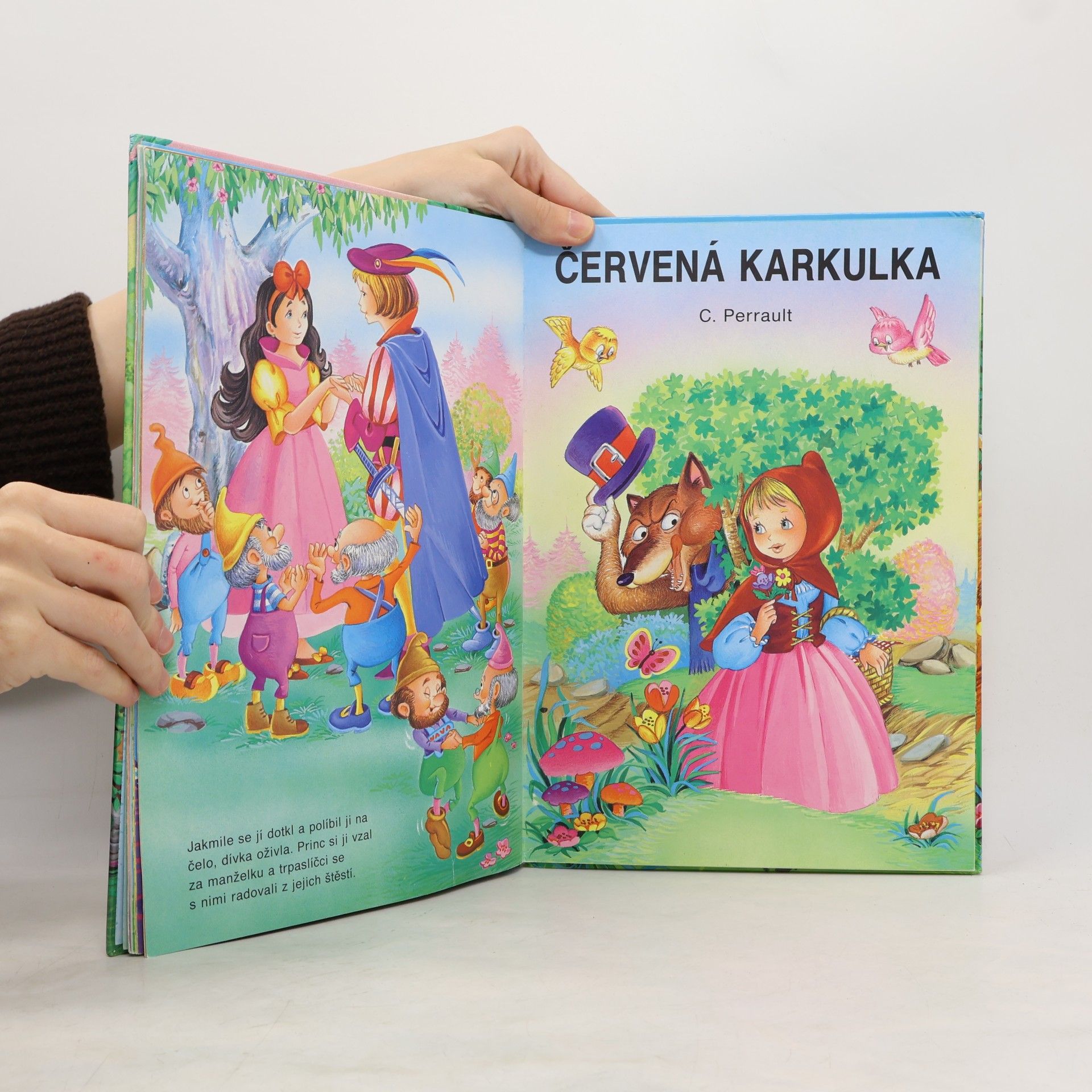 Jacob Ludwig Karl Grimm Pohádkový věneček