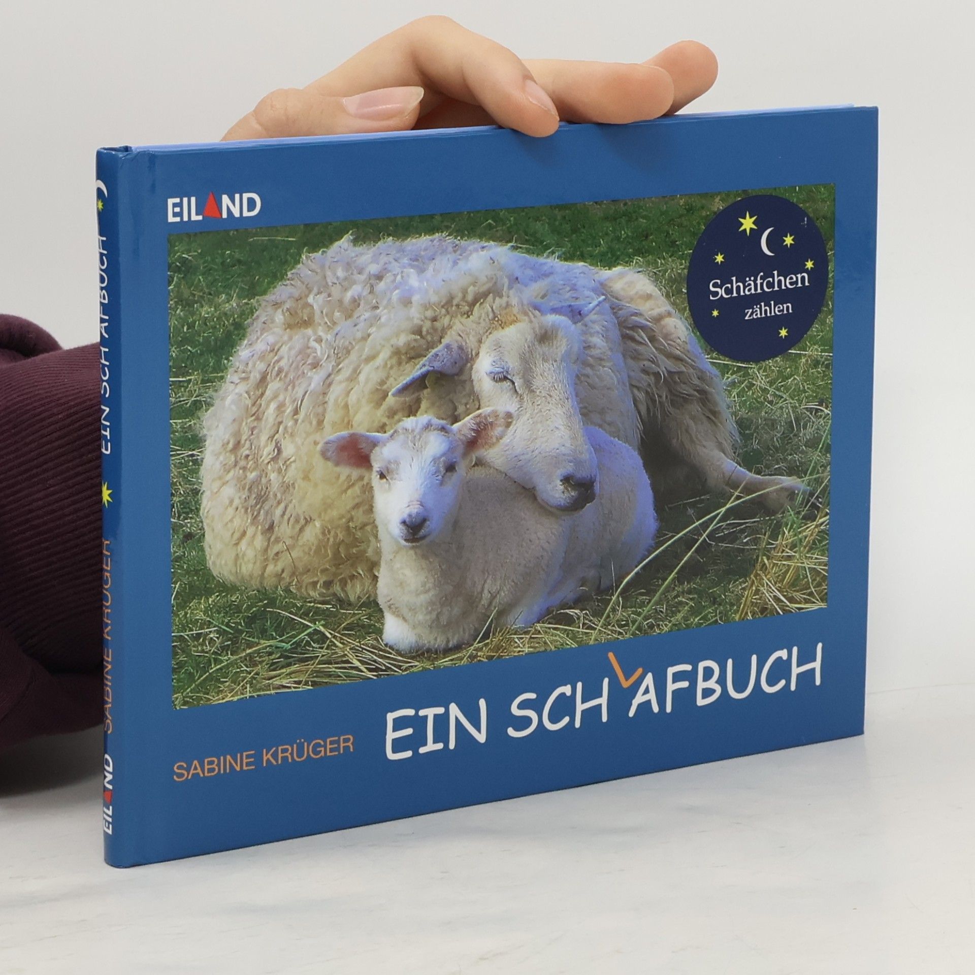 Sabine Krüger Ein Schlafbuch