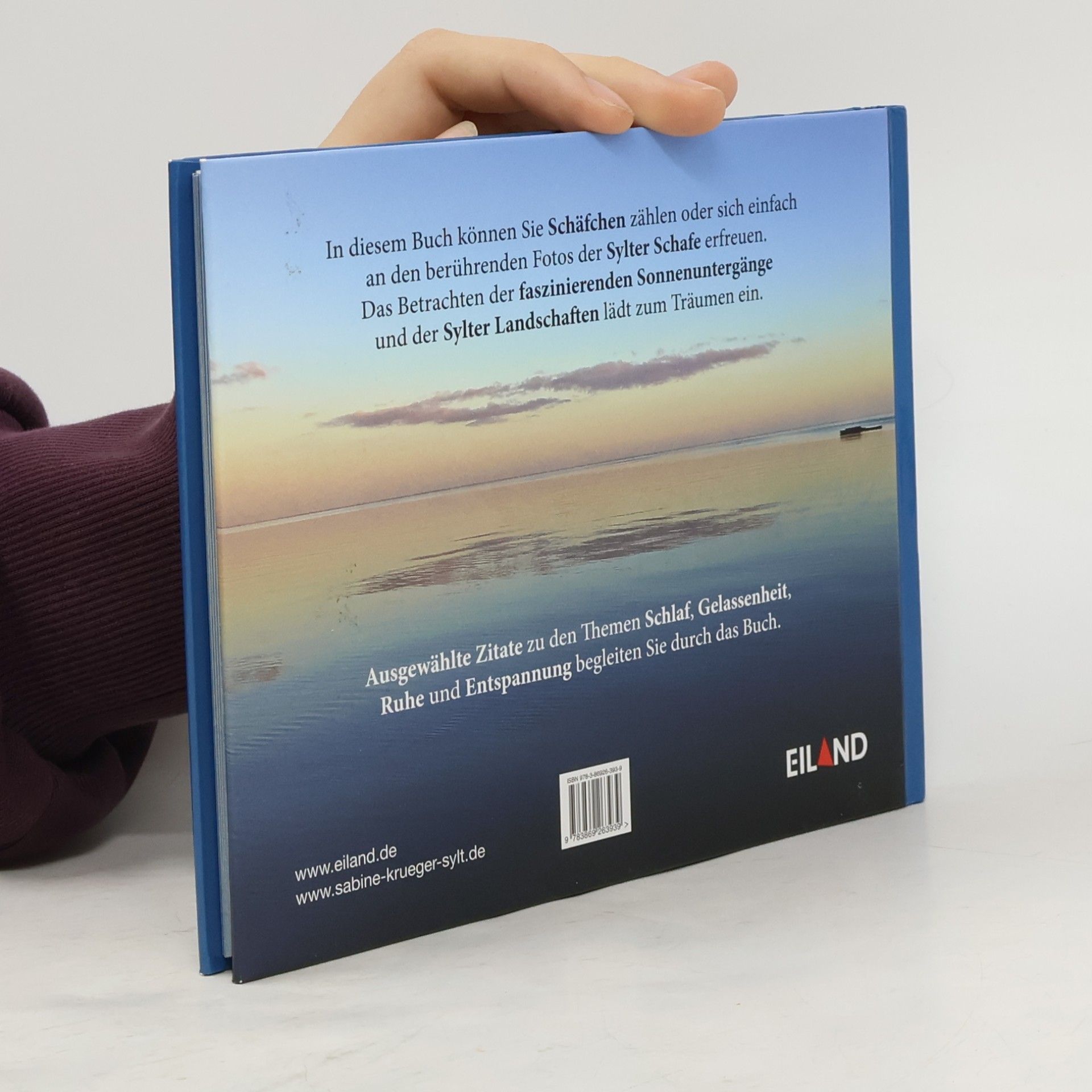 Sabine Krüger Ein Schlafbuch
