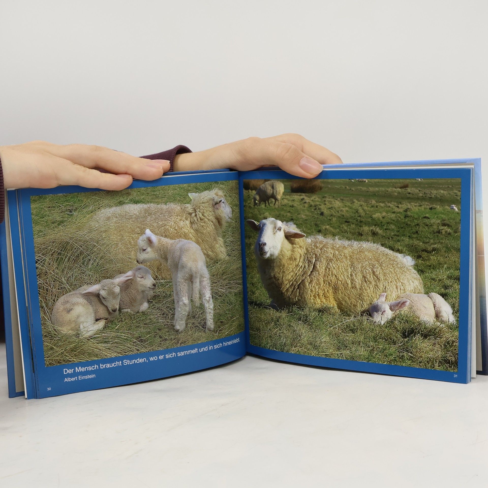 Sabine Krüger Ein Schlafbuch
