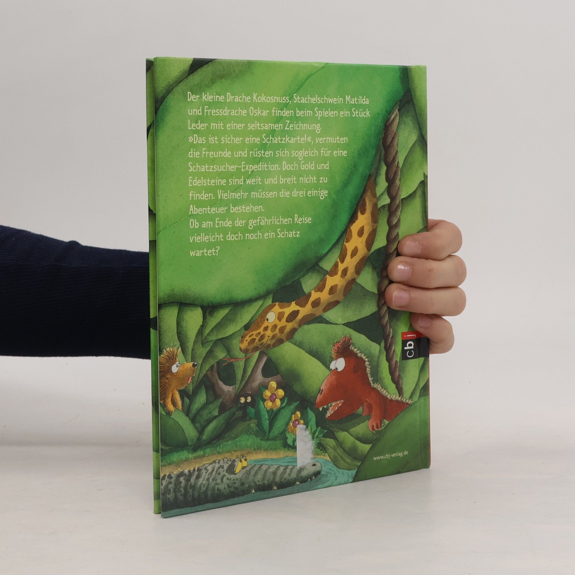 Ingo Siegner Der kleine Drache Kokosnuss und der Schatz im Dschungel