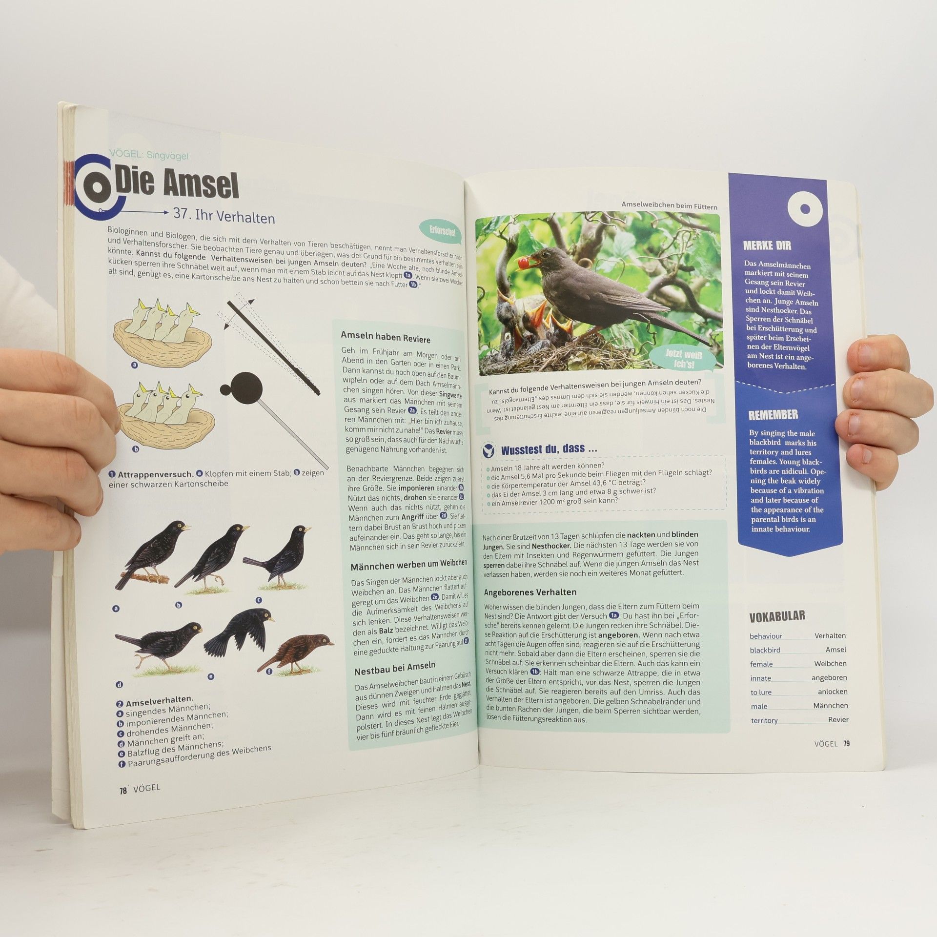 Autorenkollektiv Expedition Biologie 1: Arbeitbuch