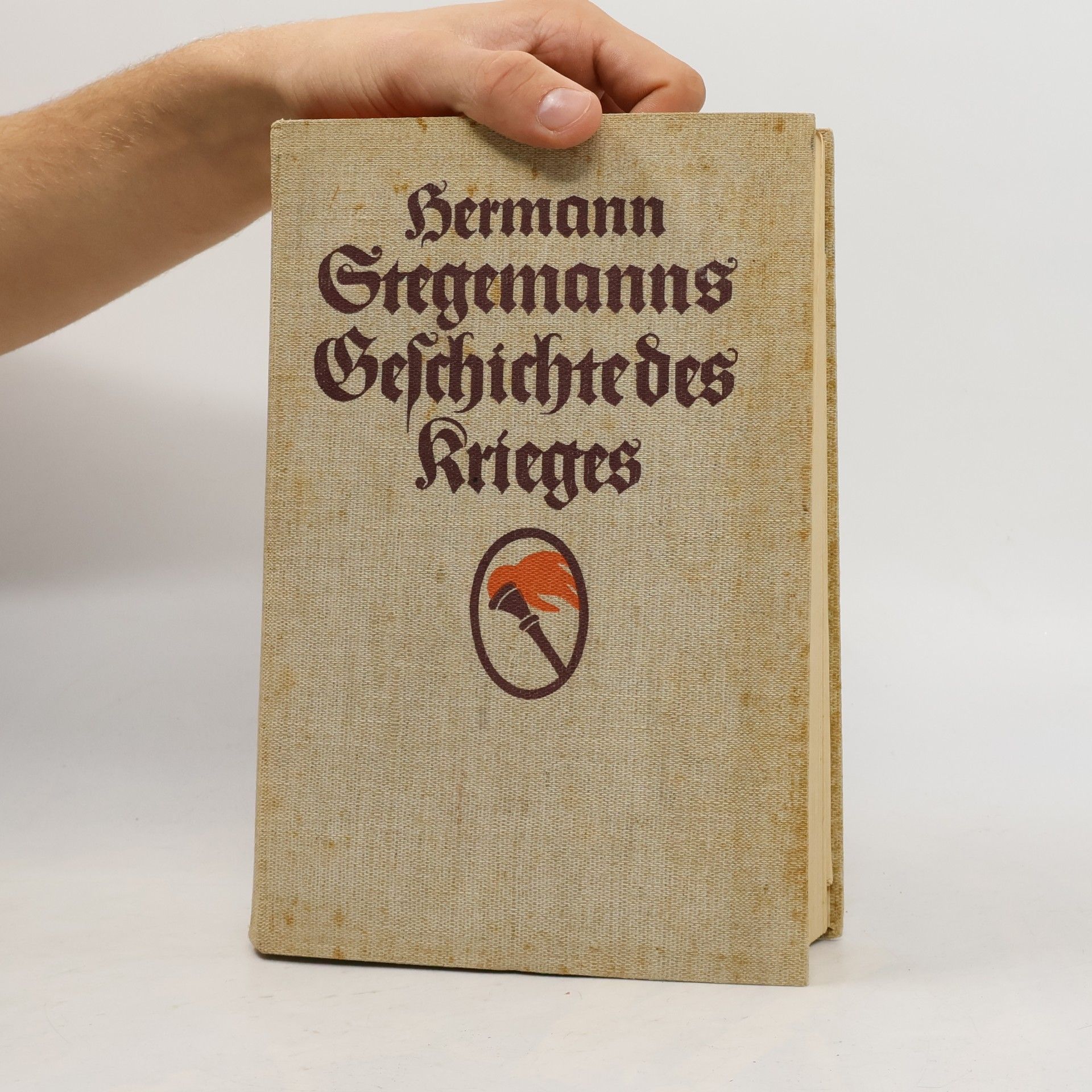 Hermann Stegemann Geschichte des Krieges 4