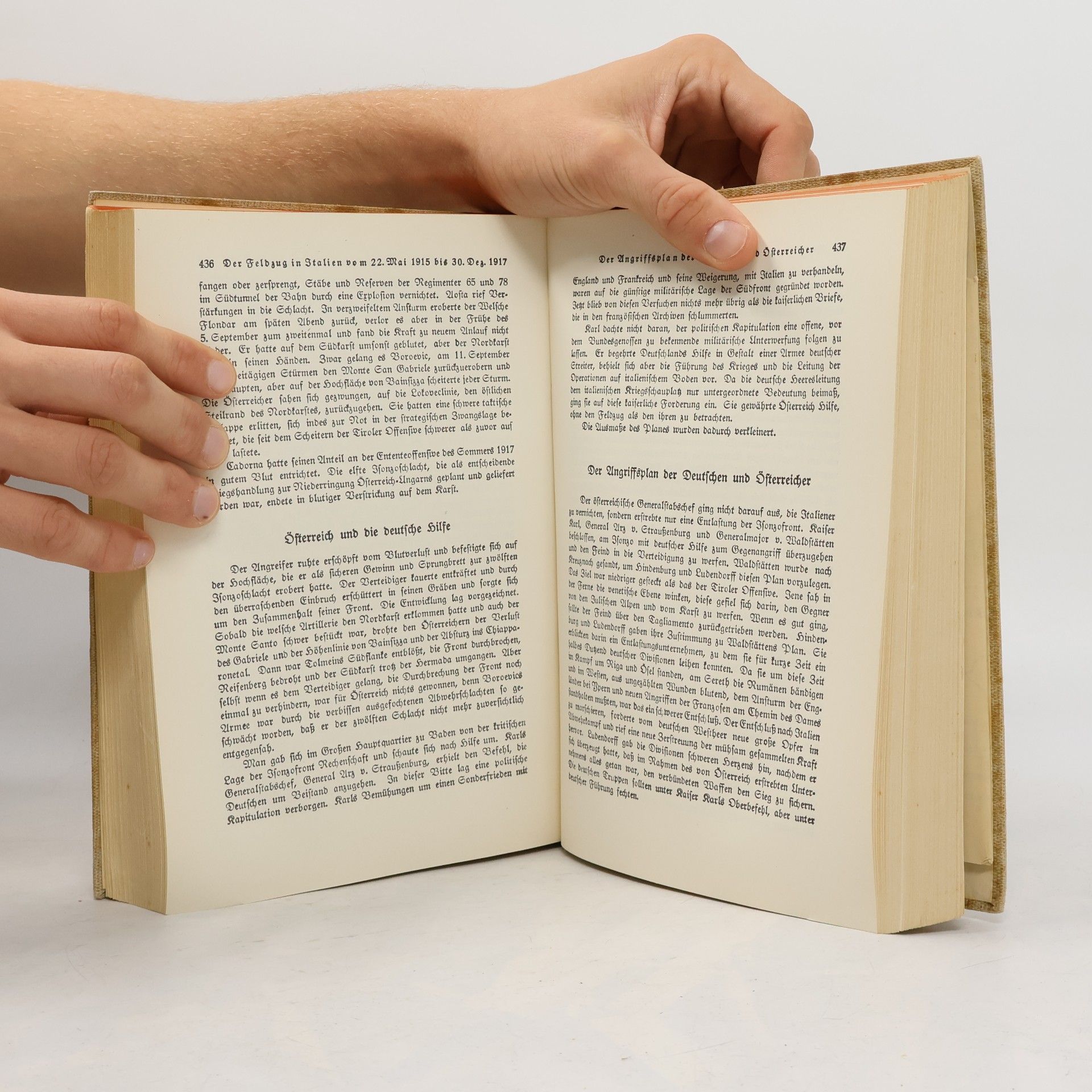 Hermann Stegemann Geschichte des Krieges 4