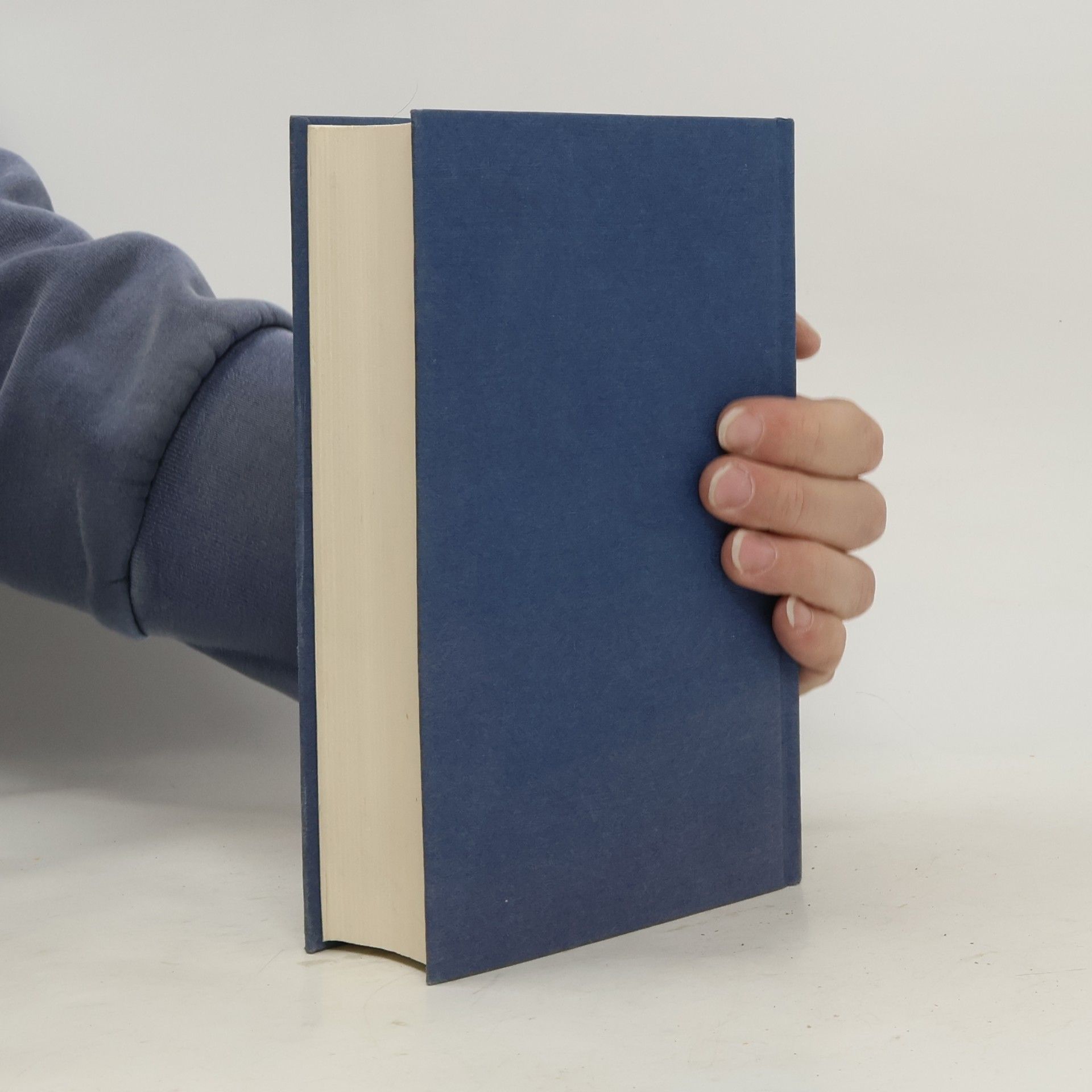 AA.VV. Das große Ferien-Lesebuch