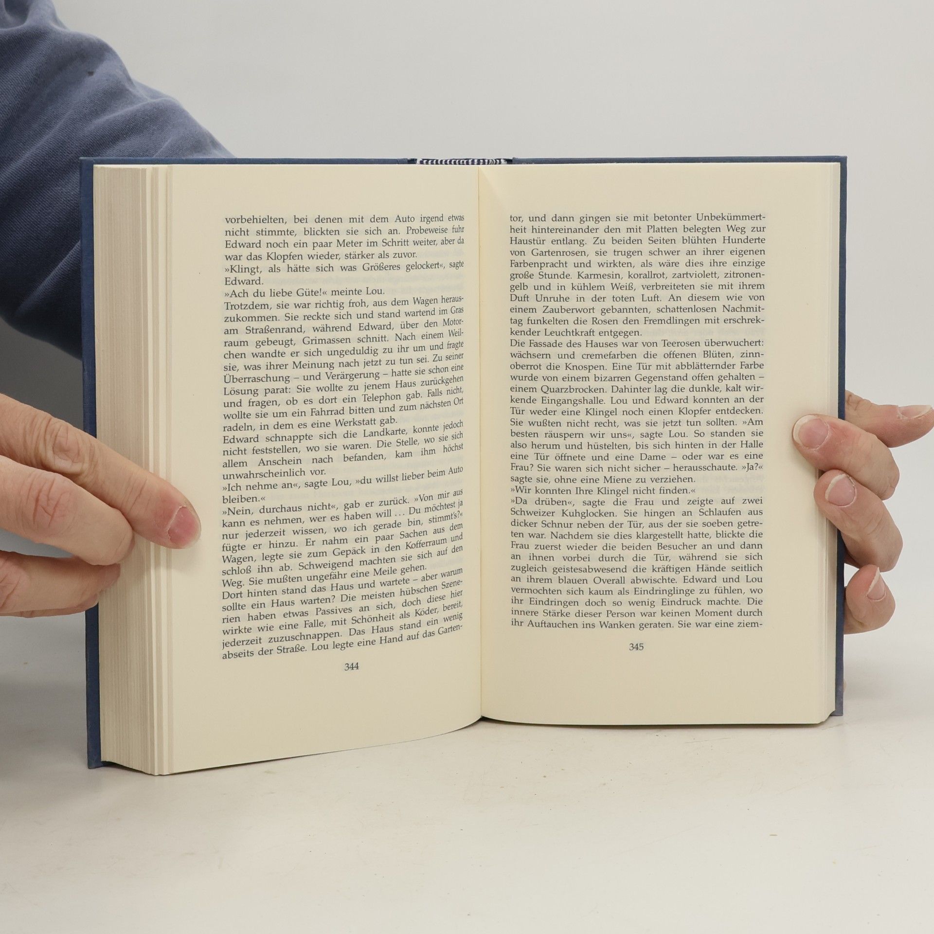 AA.VV. Das große Ferien-Lesebuch
