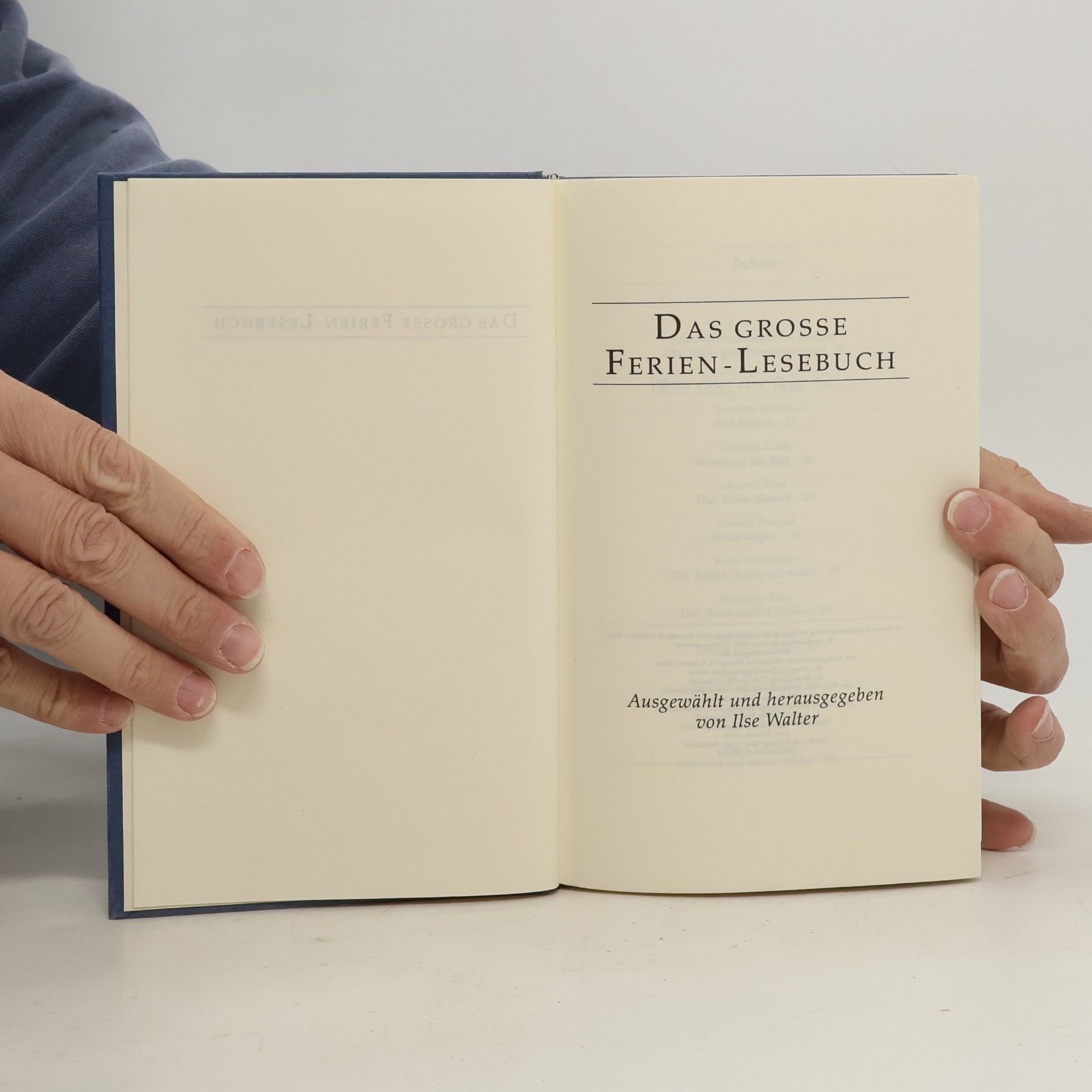 AA.VV. Das große Ferien-Lesebuch