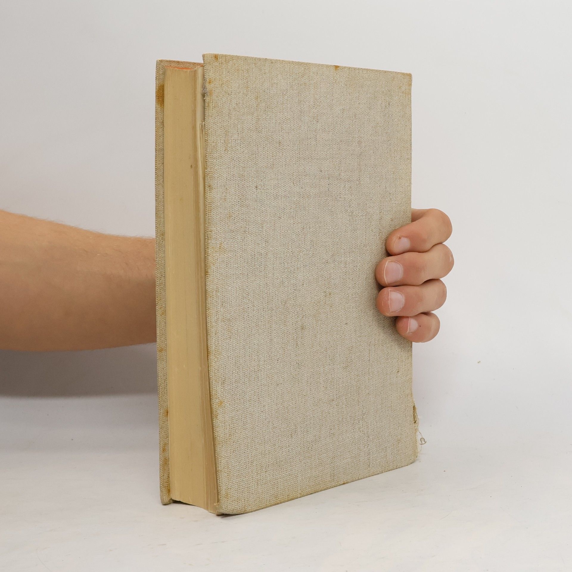Hermann Stegemann Geschichte des Krieges 3