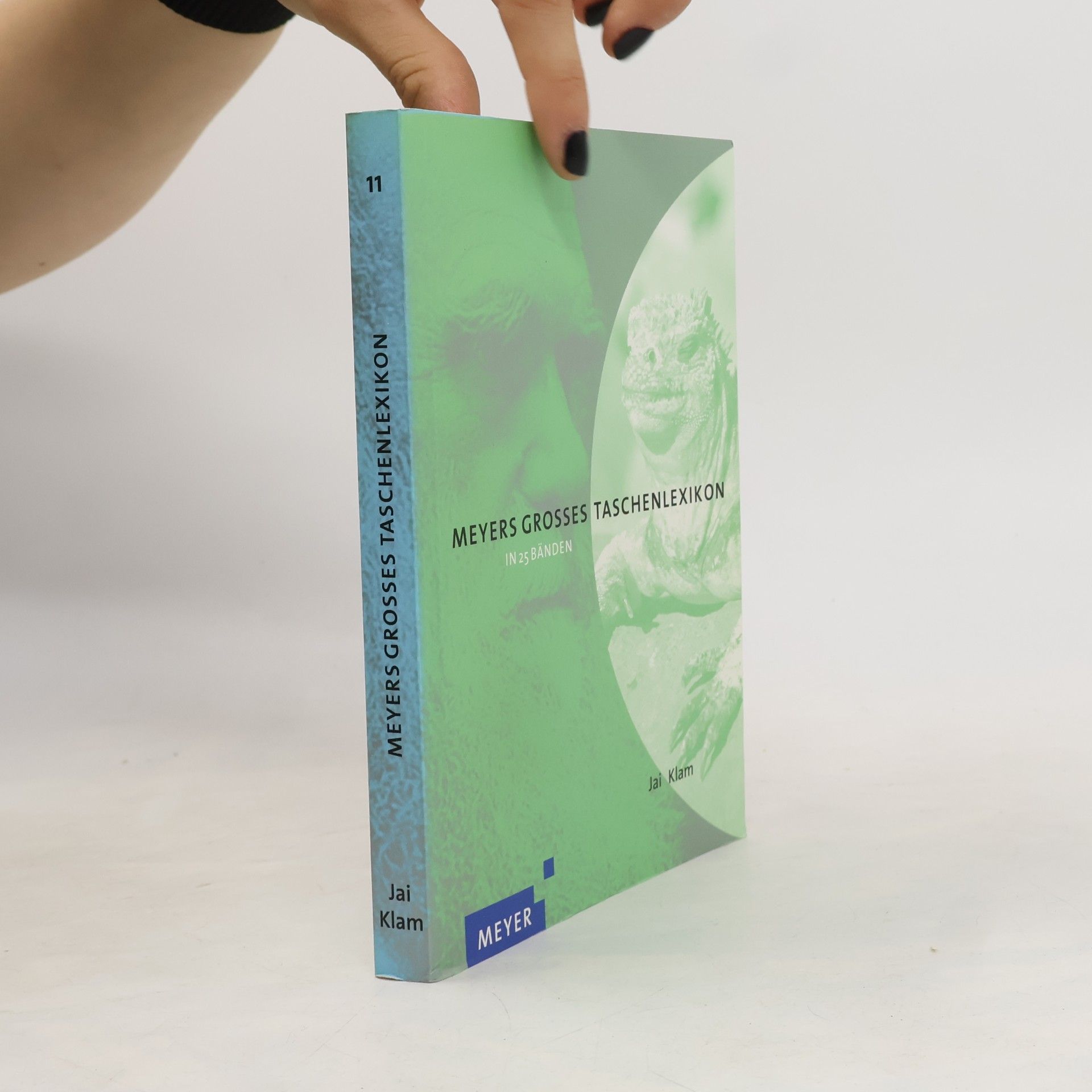 Autorenkollektiv Meyers grosses Taschenlexikon 11