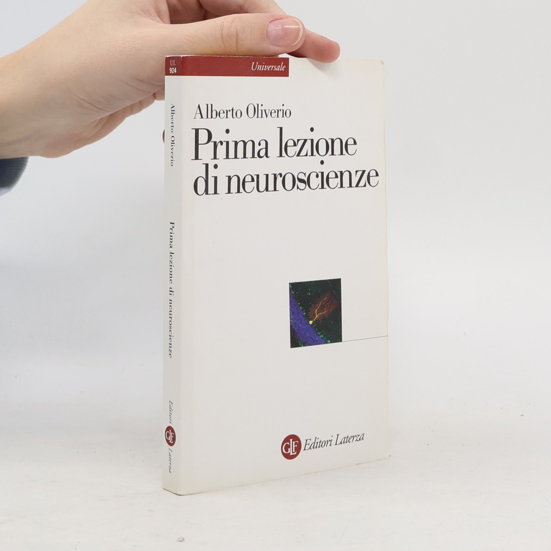 Universale: Prima lezione di neuroscienze