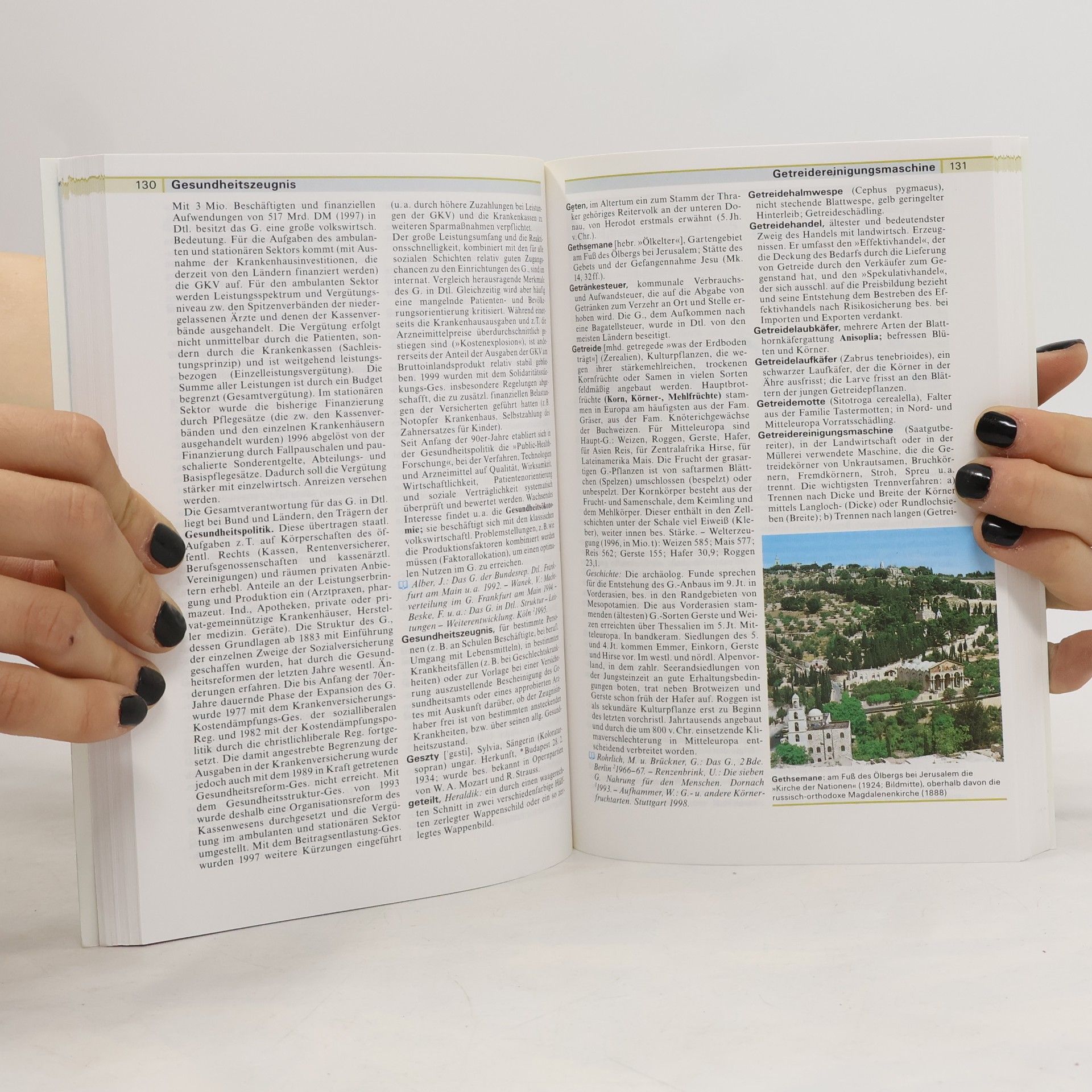 Autorenkollektiv Meyers Großes Taschenlexikon 8