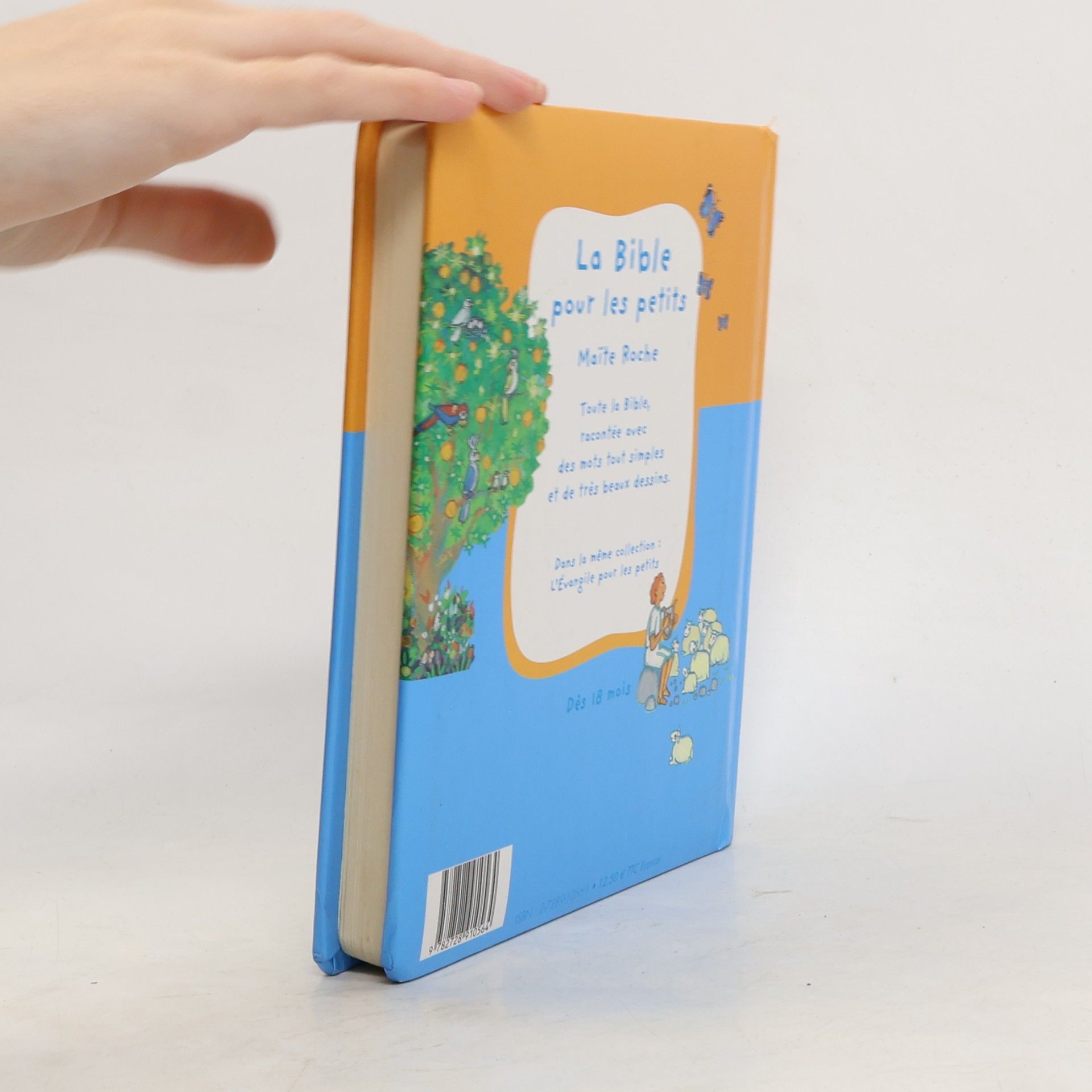 Maite Roche La Bible pour les petits