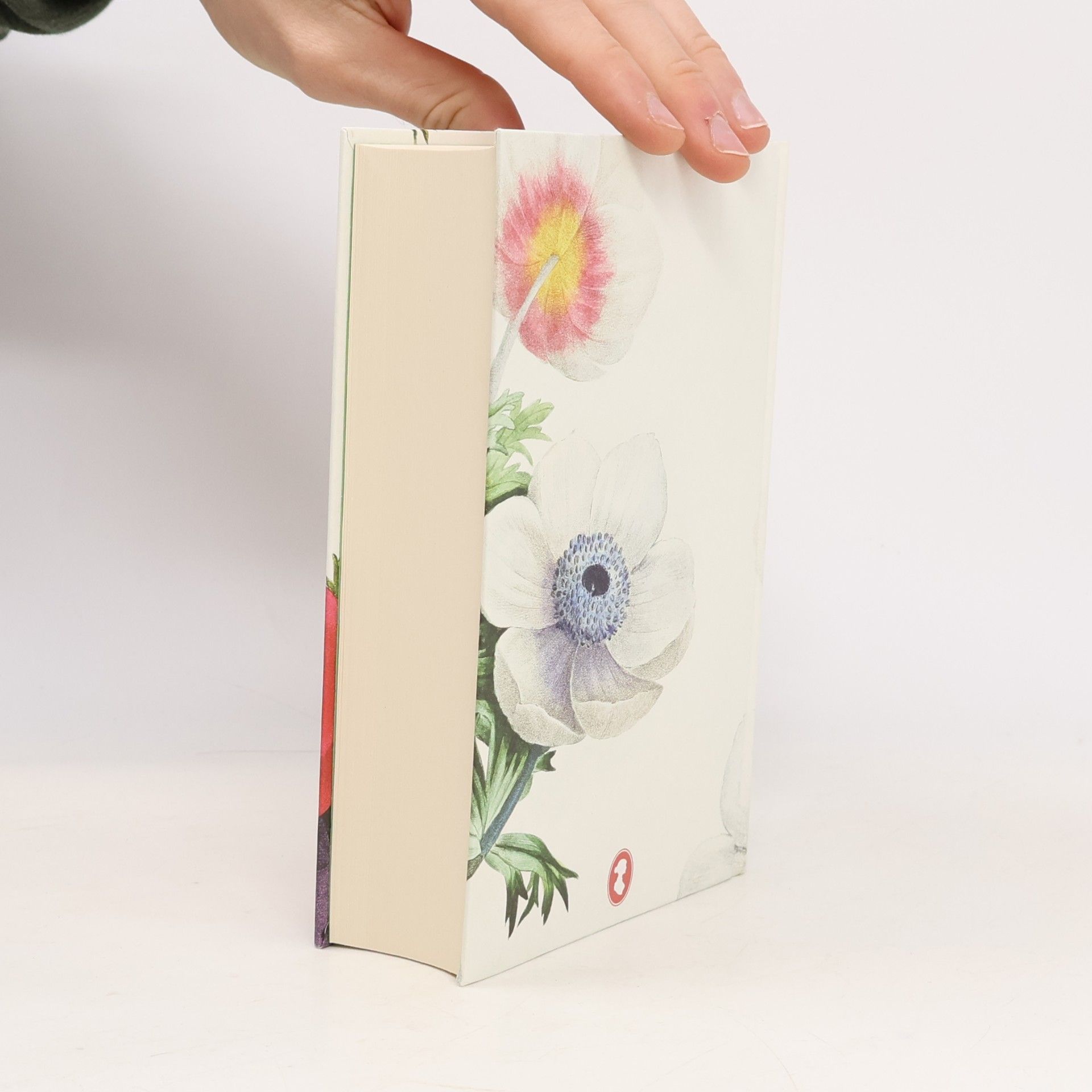 Jane Austen Die sechs Romane