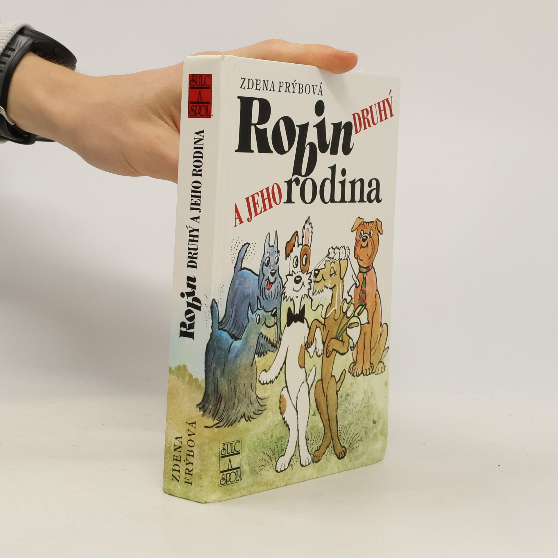 Robin Druhý a jeho rodina