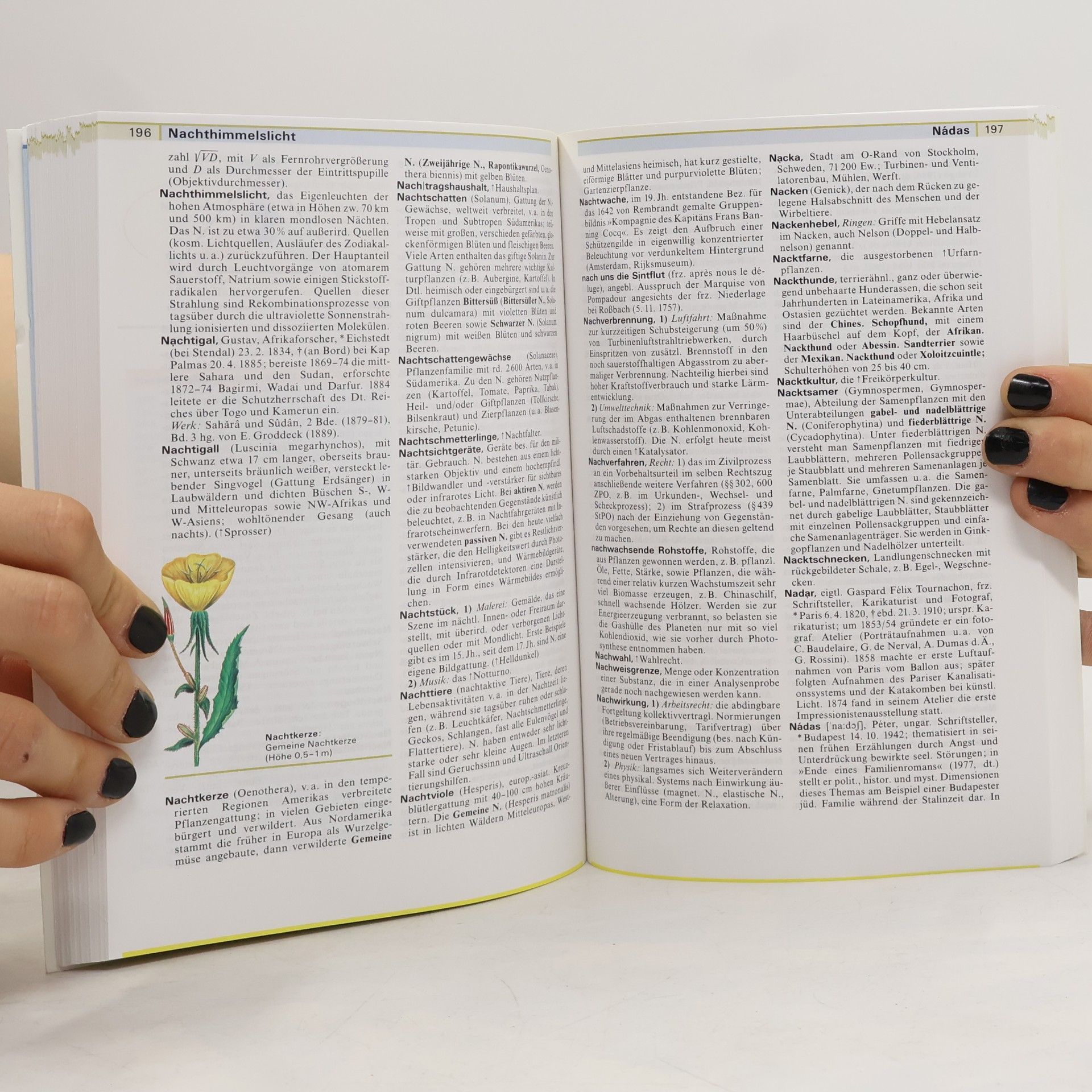 Autorenkollektiv Meyers grosses Taschenlexikon 15