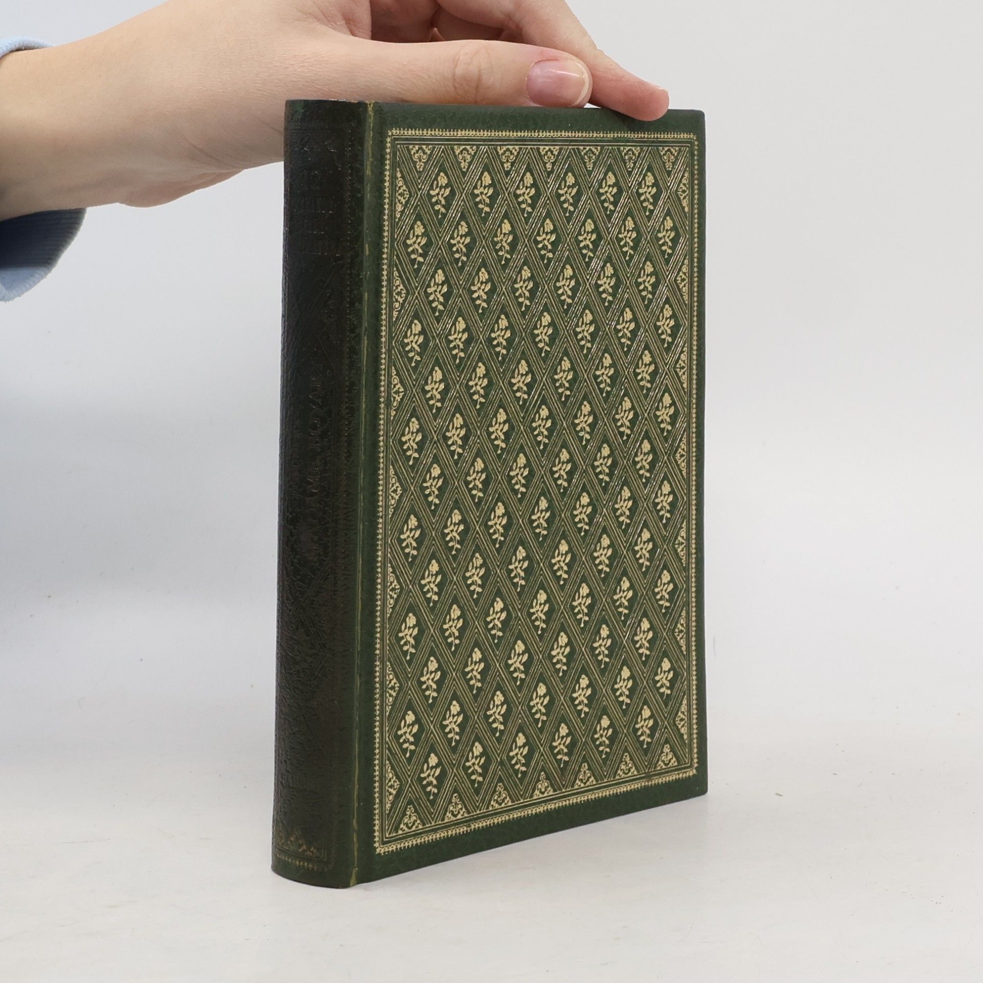 Madame Bovary