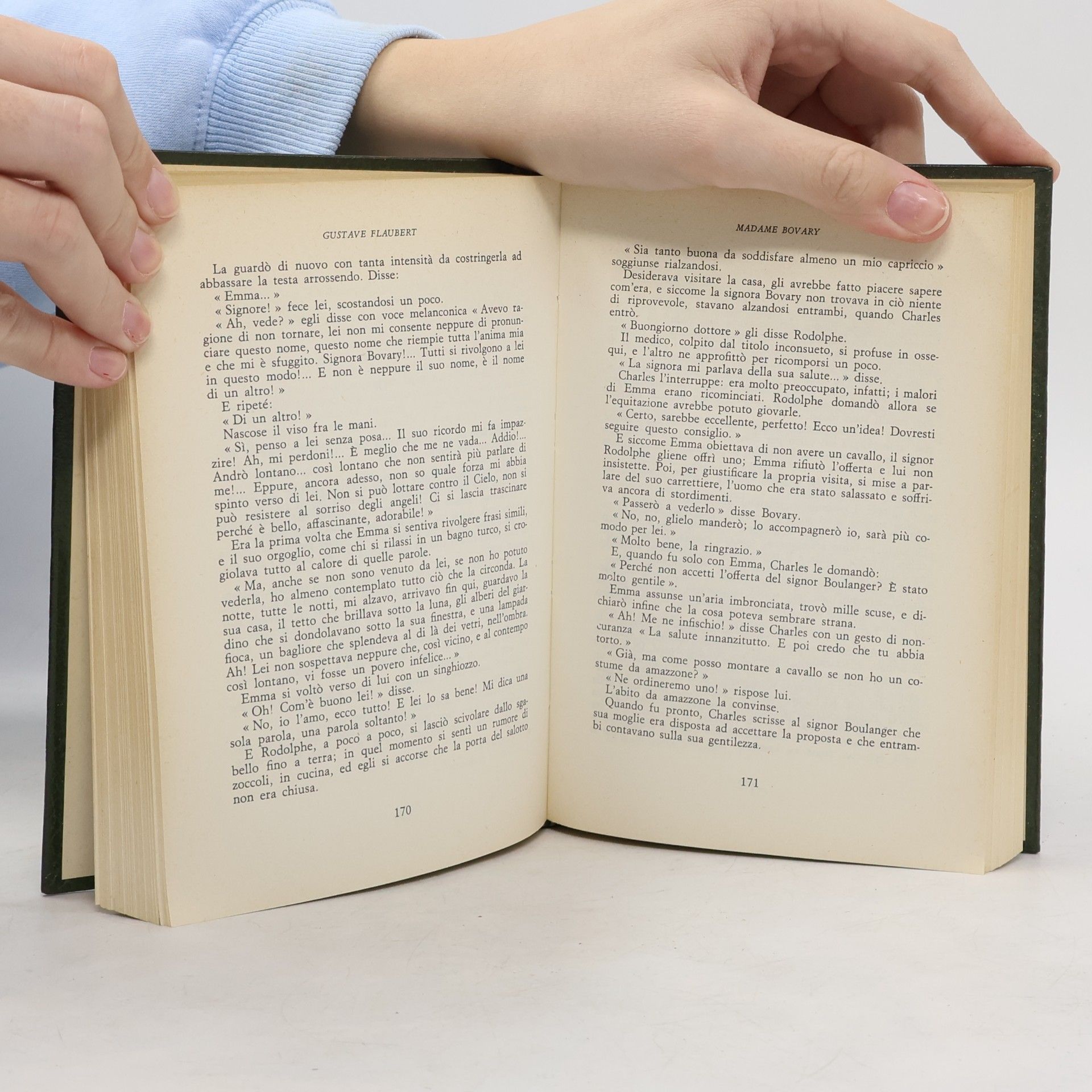 Gustave Flaubert Madame Bovary