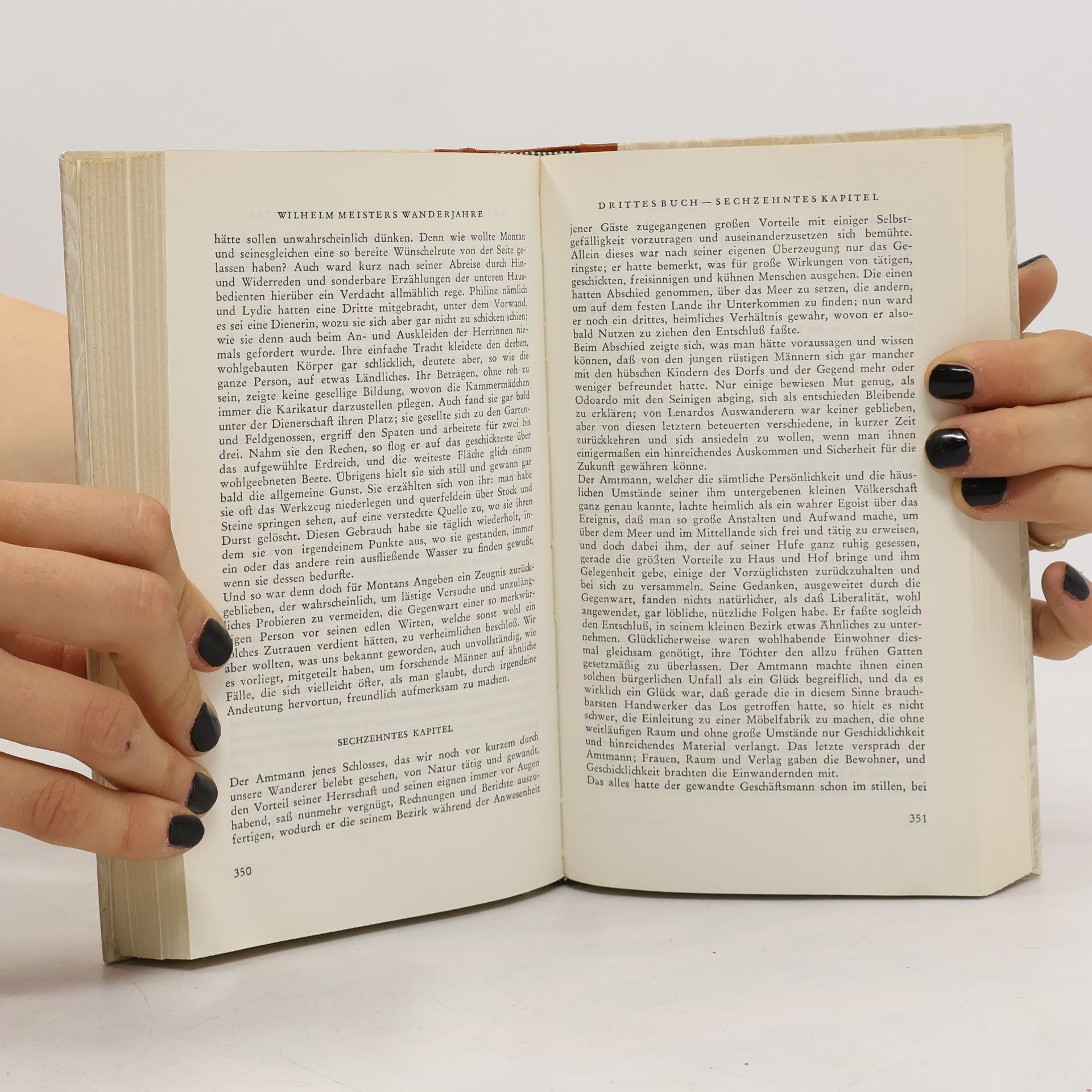 Johann Wolfgang Goethe Goethe 5