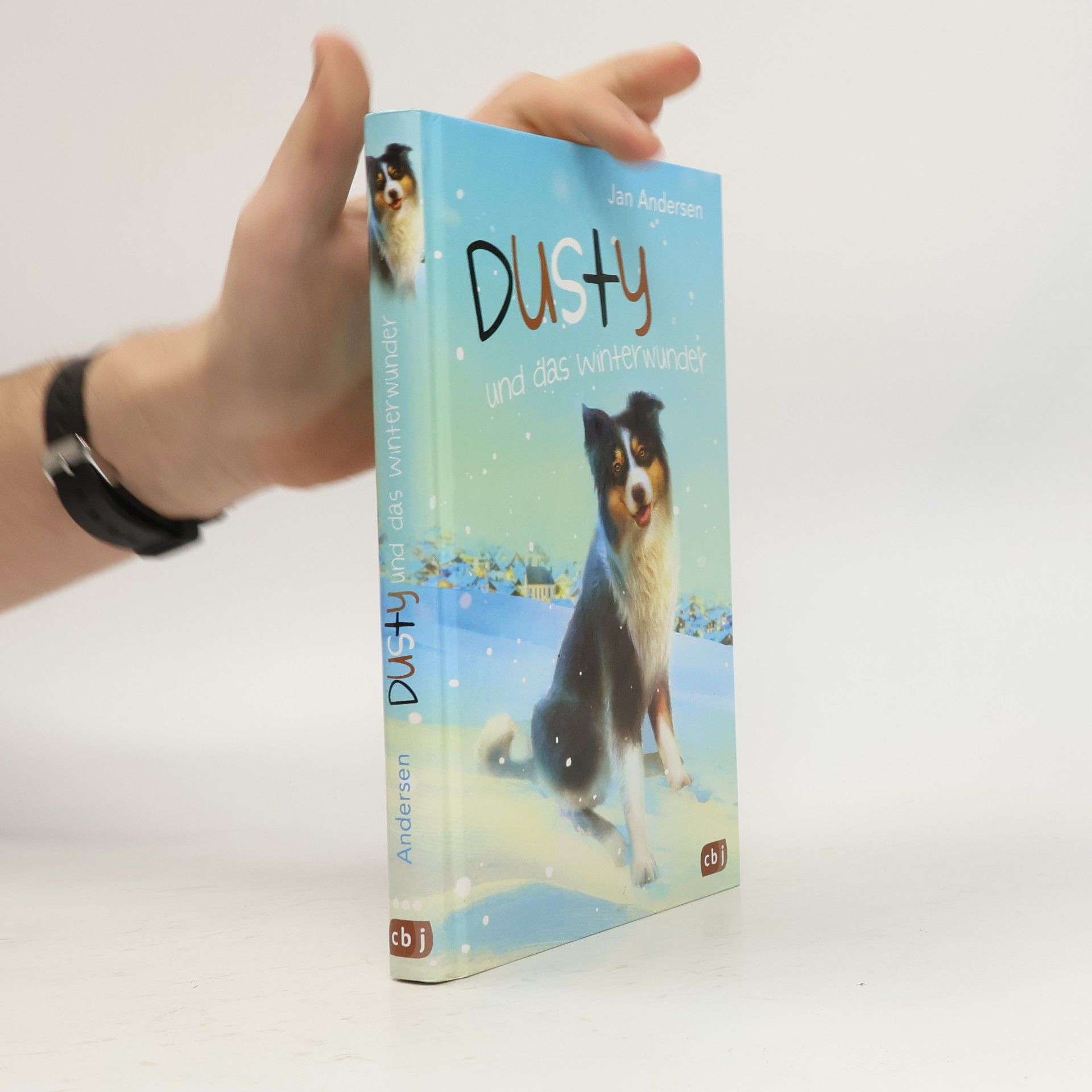 Dusty und das Winterwunder