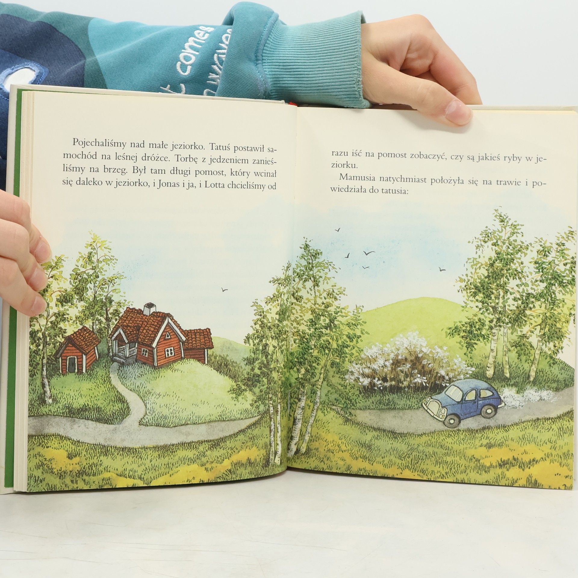 Astrid Lindgren Przygody dzieci z ulicy Awanturników