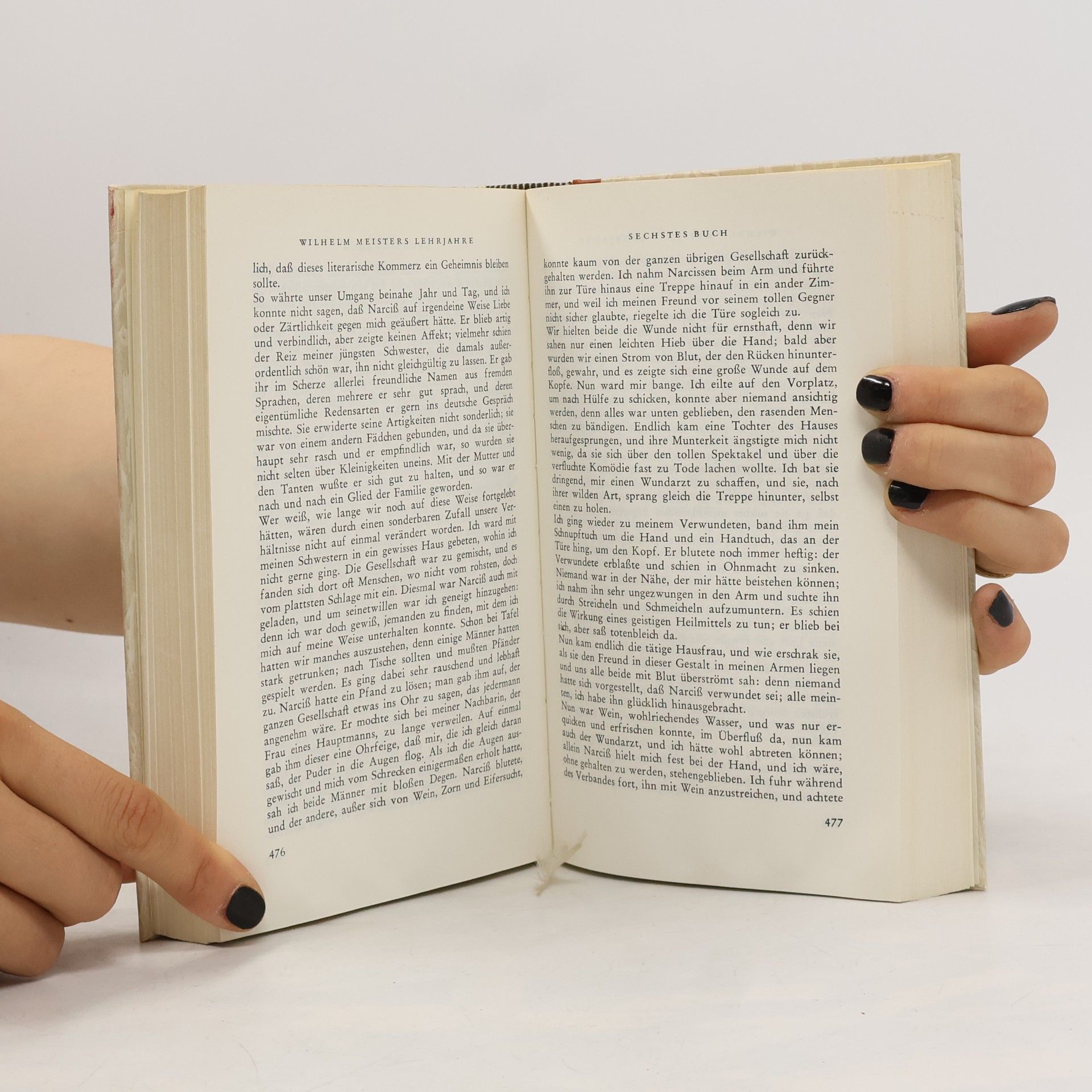 Johann Wolfgang Goethe Goethe 4