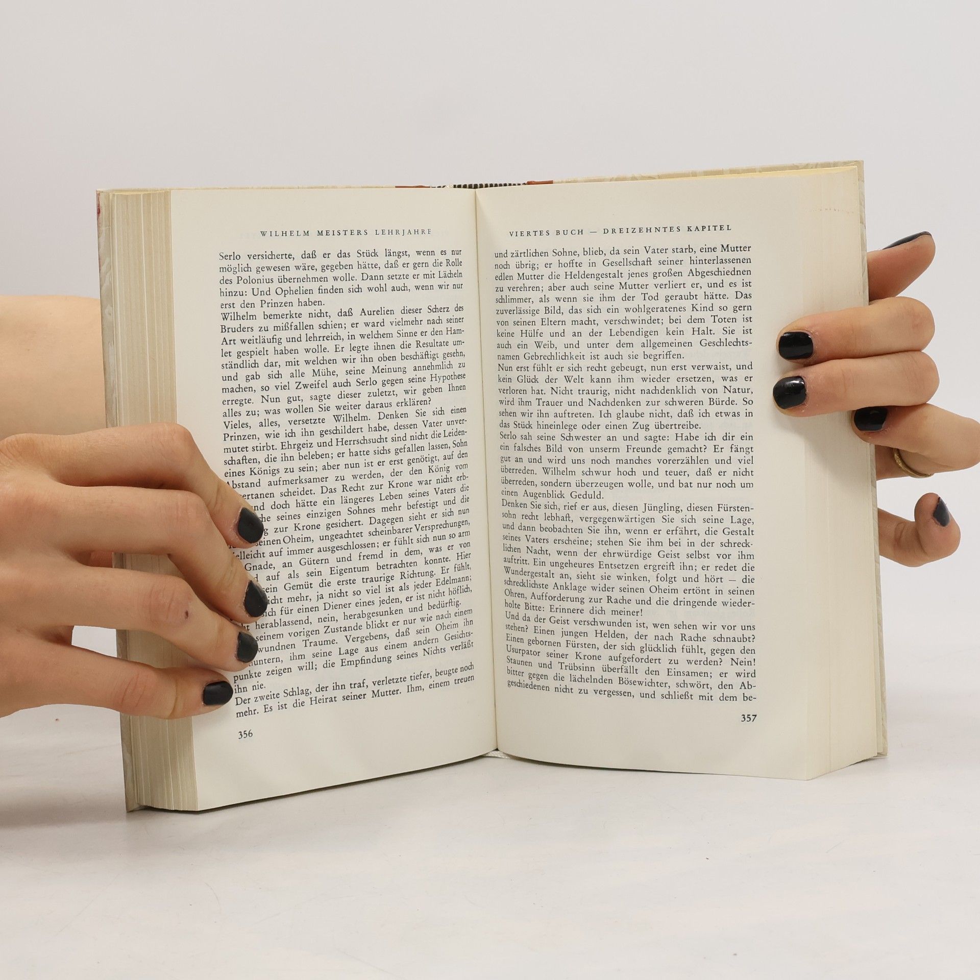 Johann Wolfgang Goethe Goethe 4