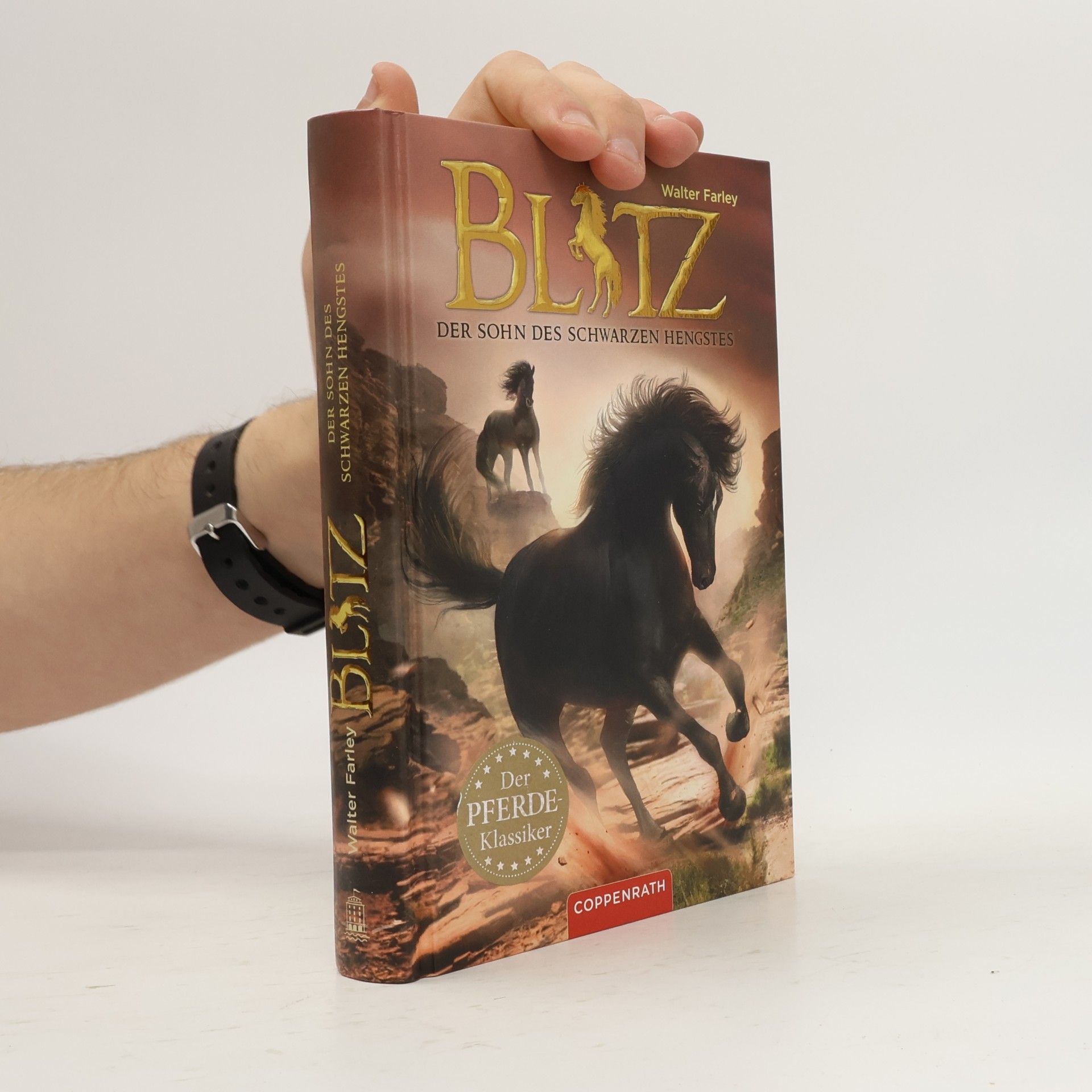 Blitz - der Sohn des schwarzen Hengstes