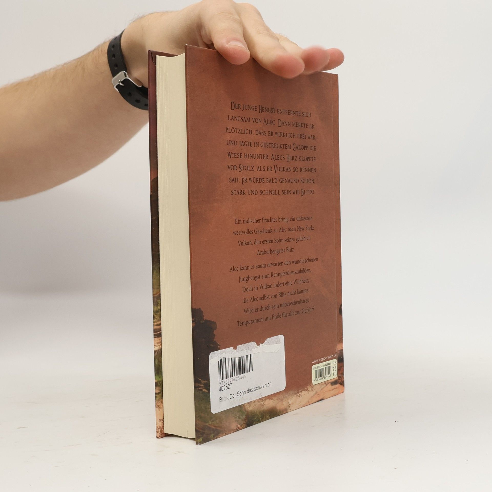 Walter Farley Blitz - der Sohn des schwarzen Hengstes