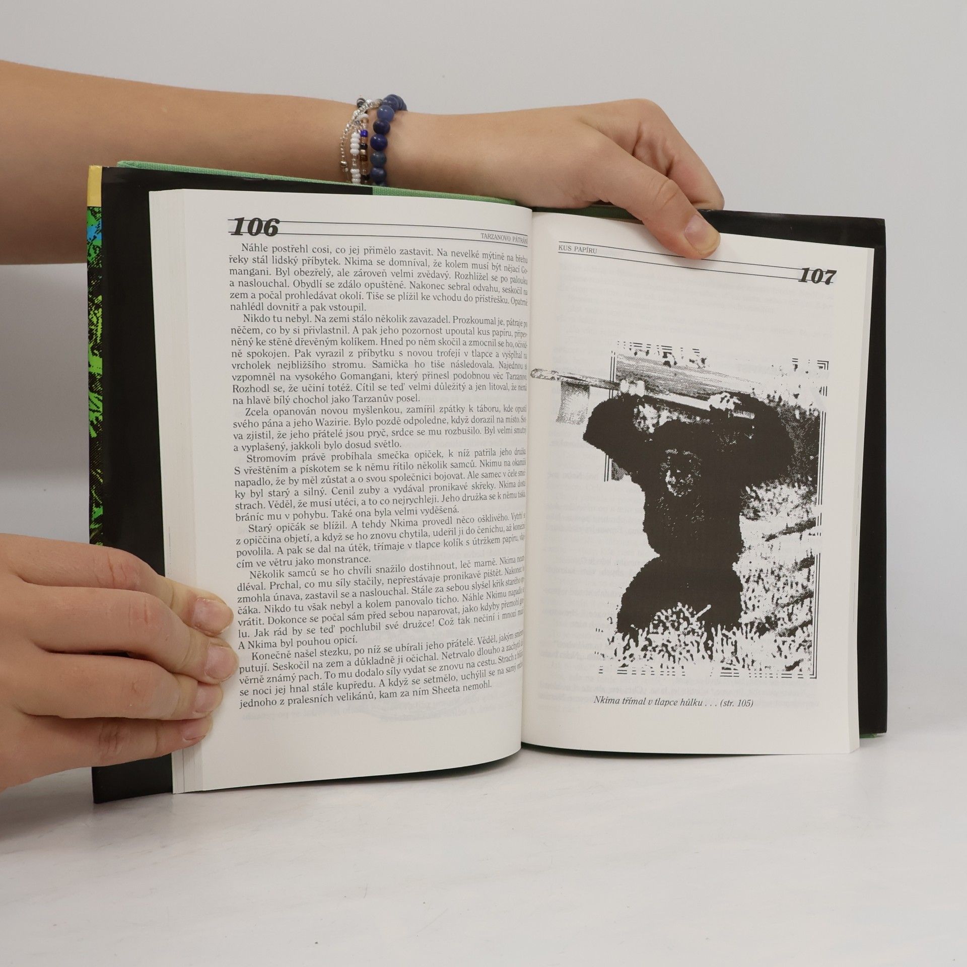 Edgar Rice Burrroughs Tarzanovo pátrání