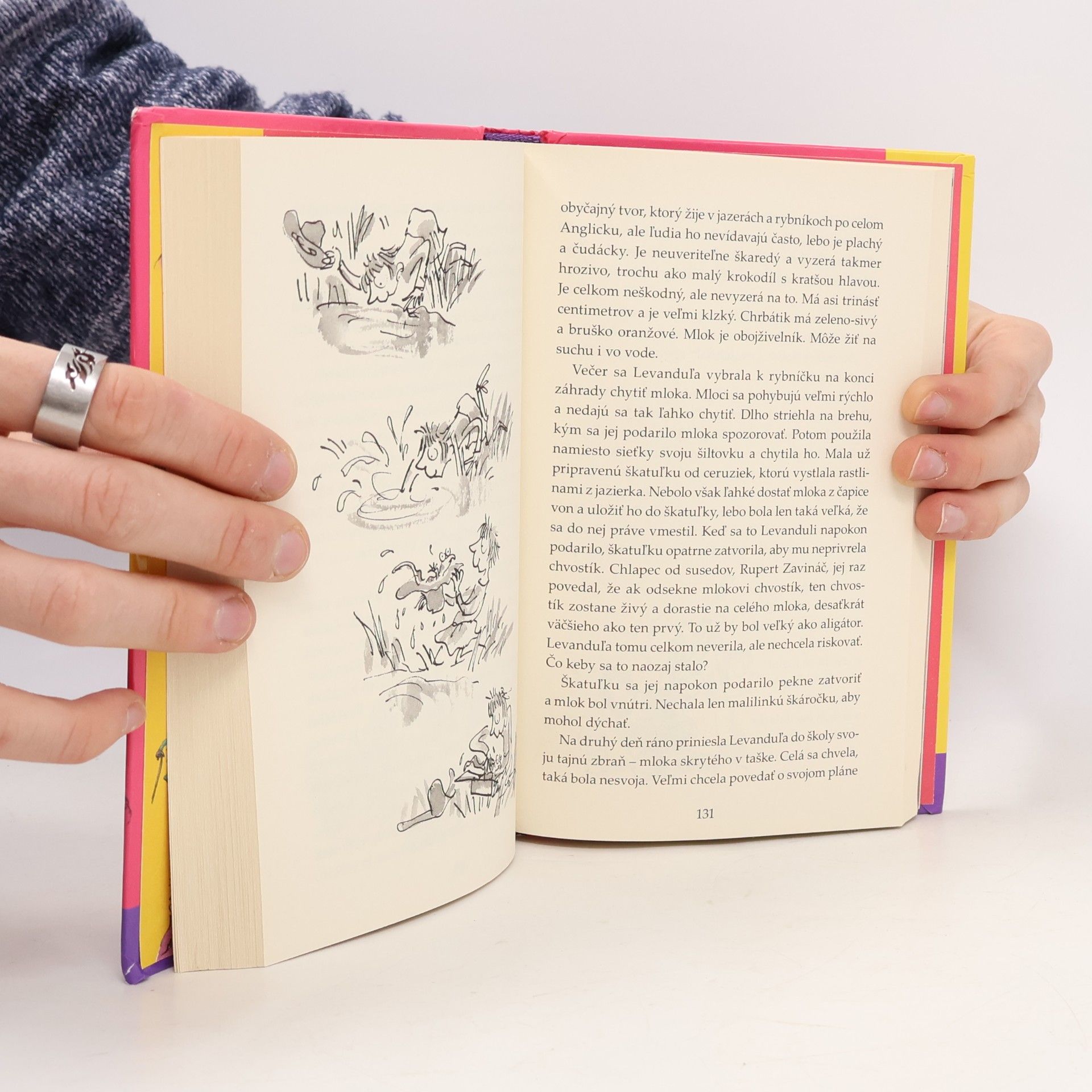 Roald Dahl Matilda