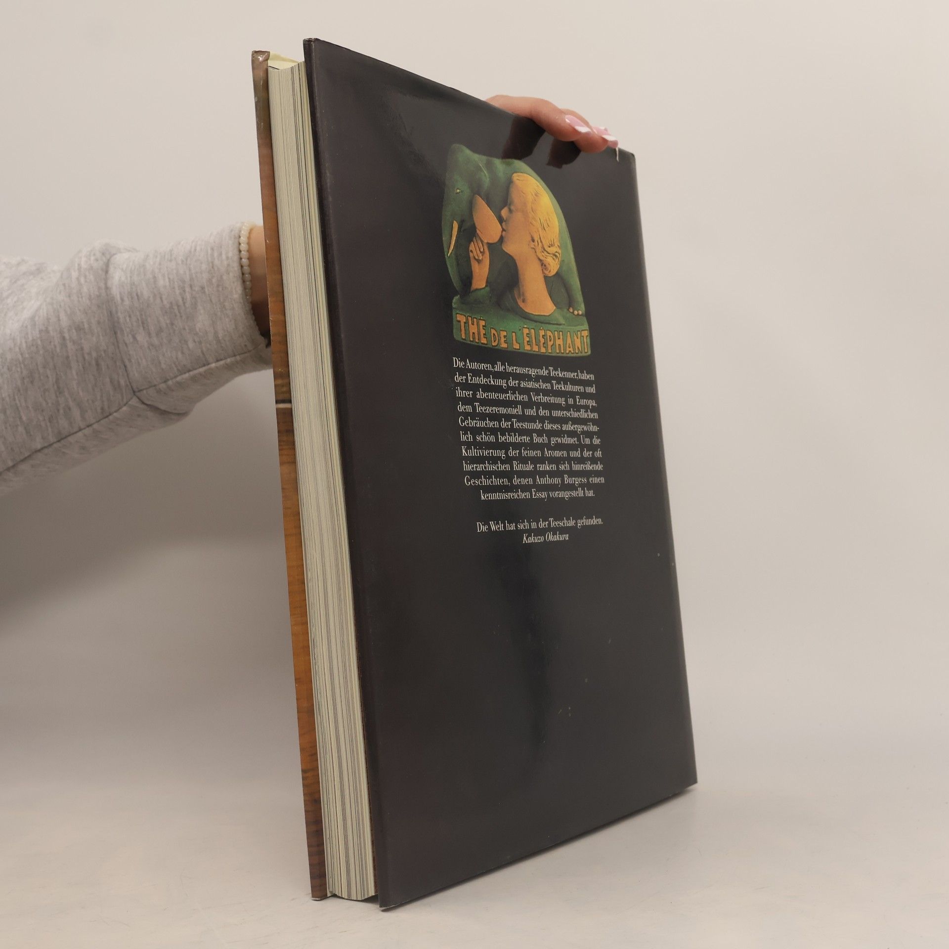 Ursula Fabian Das Buch vom Tee
