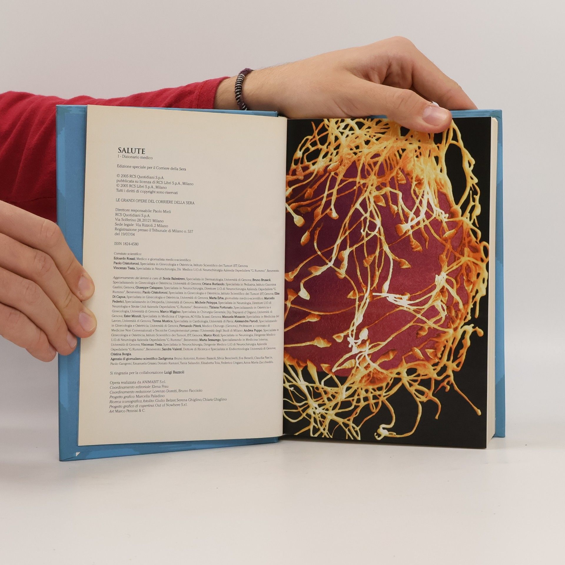 Various authors Salute