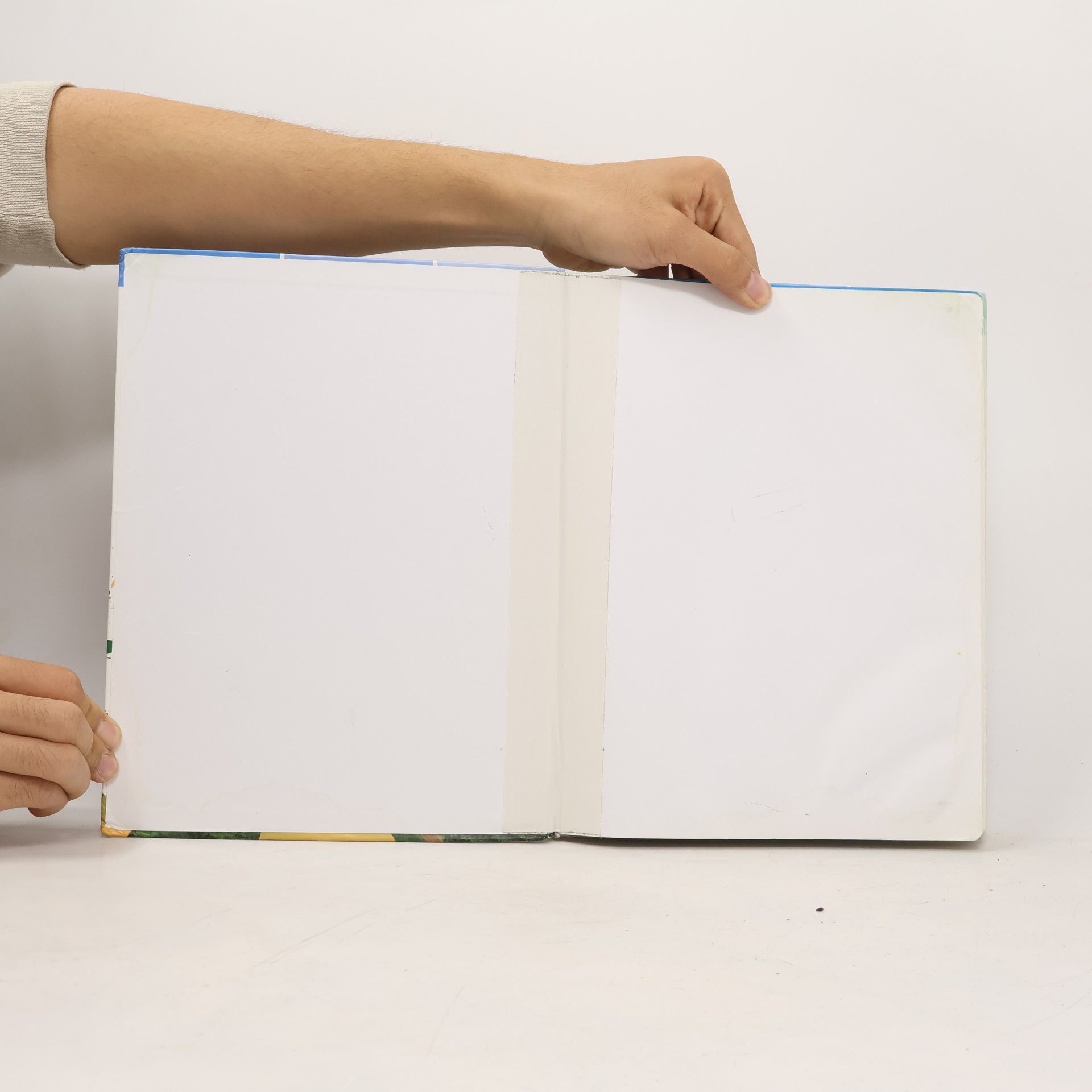 buiteNLand 3e ed havo 4 leerboek