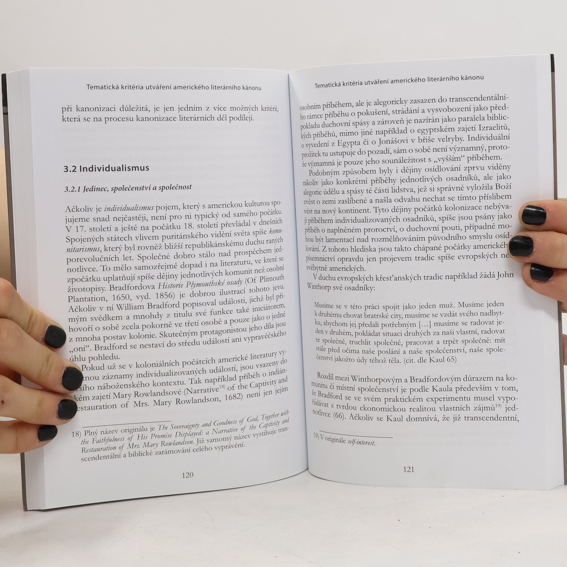 Šárka Bubíková Literatura v Americe, Amerika v literatuře