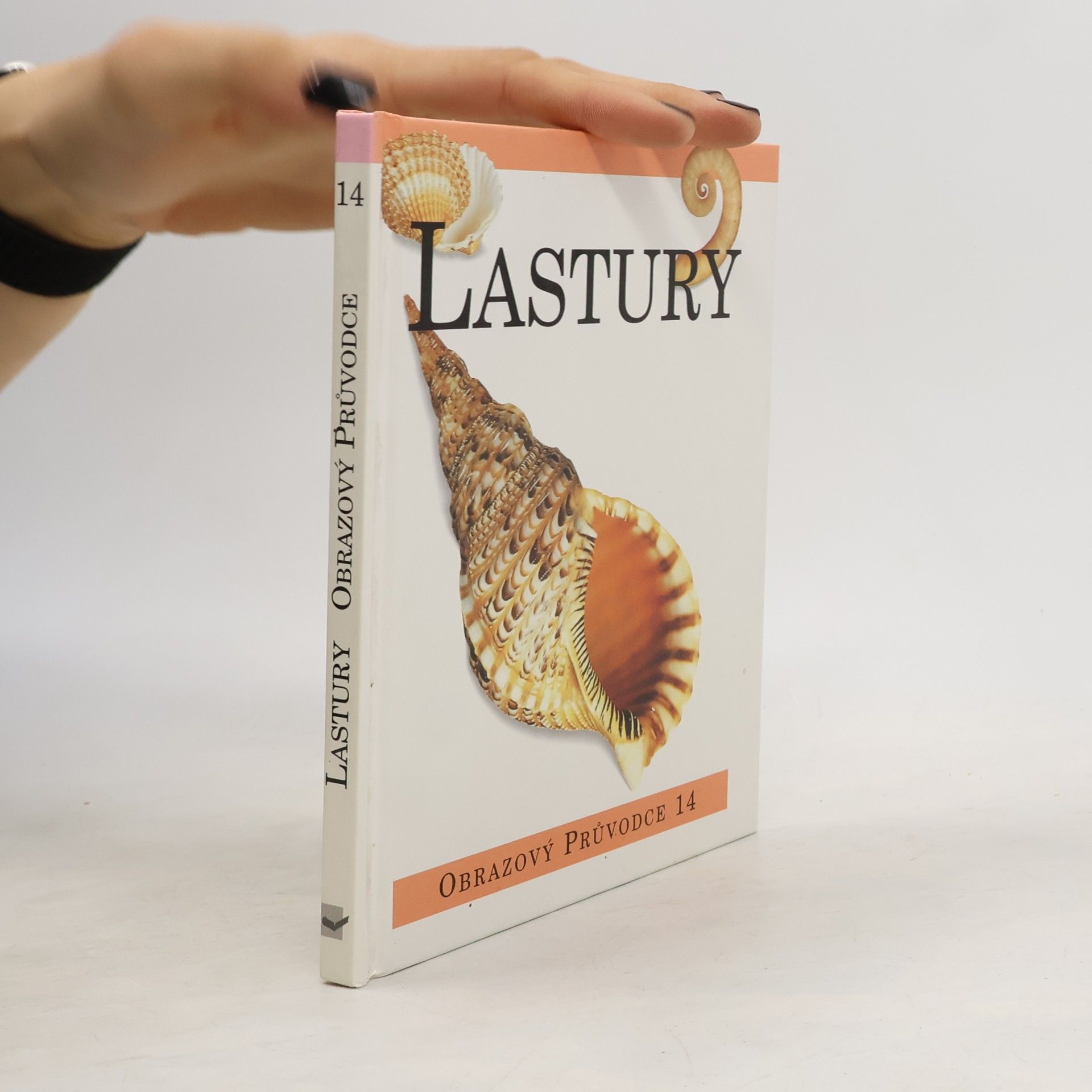 Autores varios Lastury
