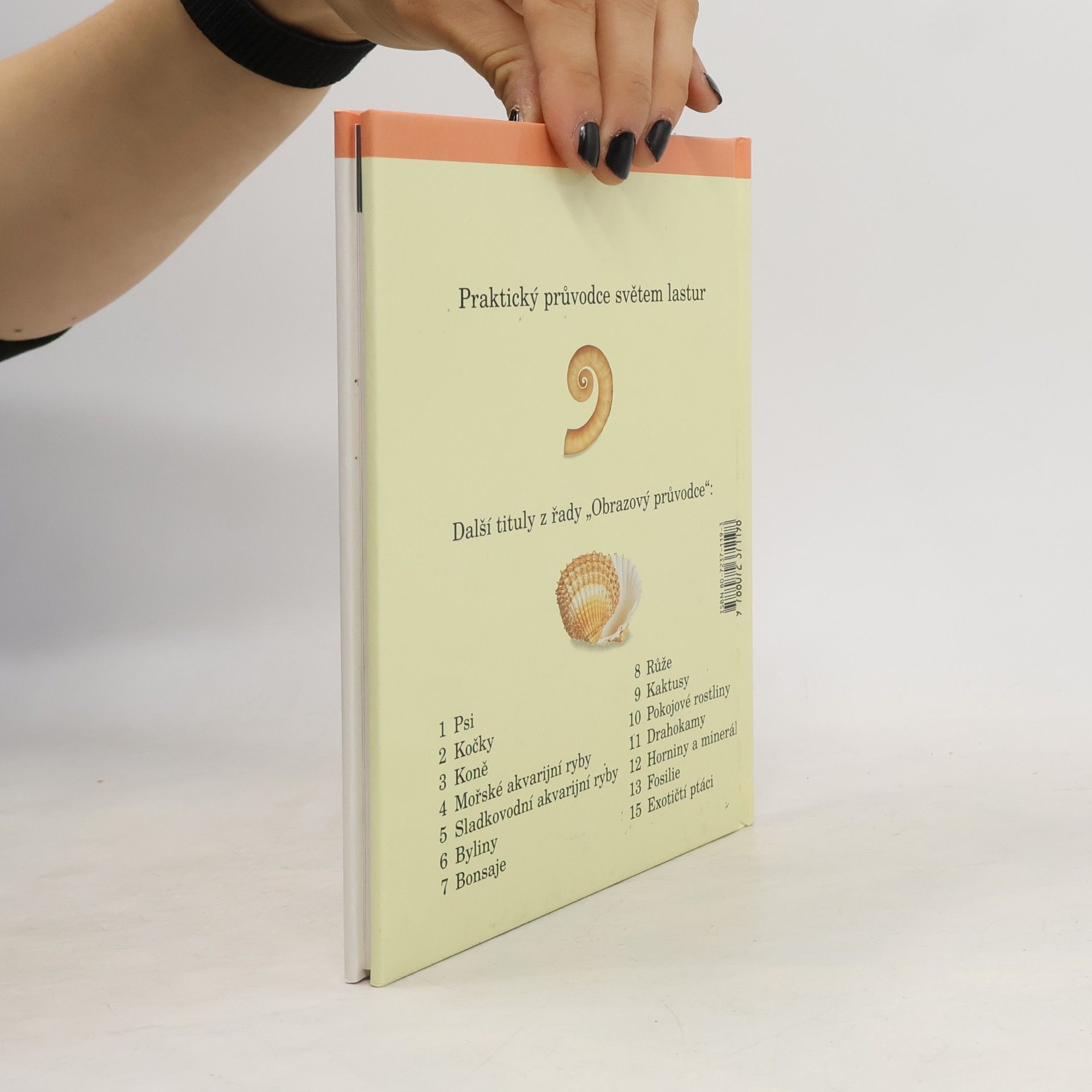 Autores varios Lastury