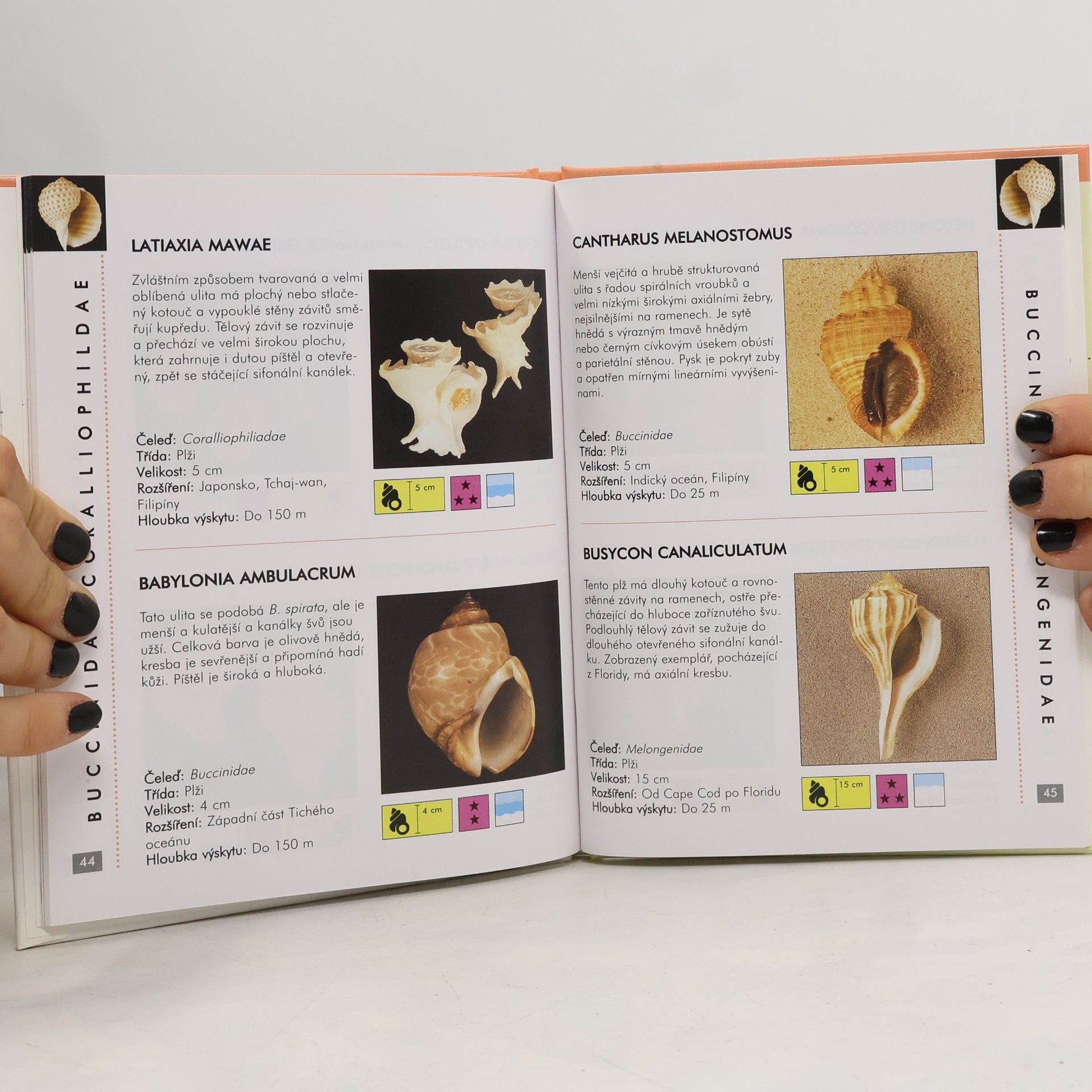 Autores varios Lastury