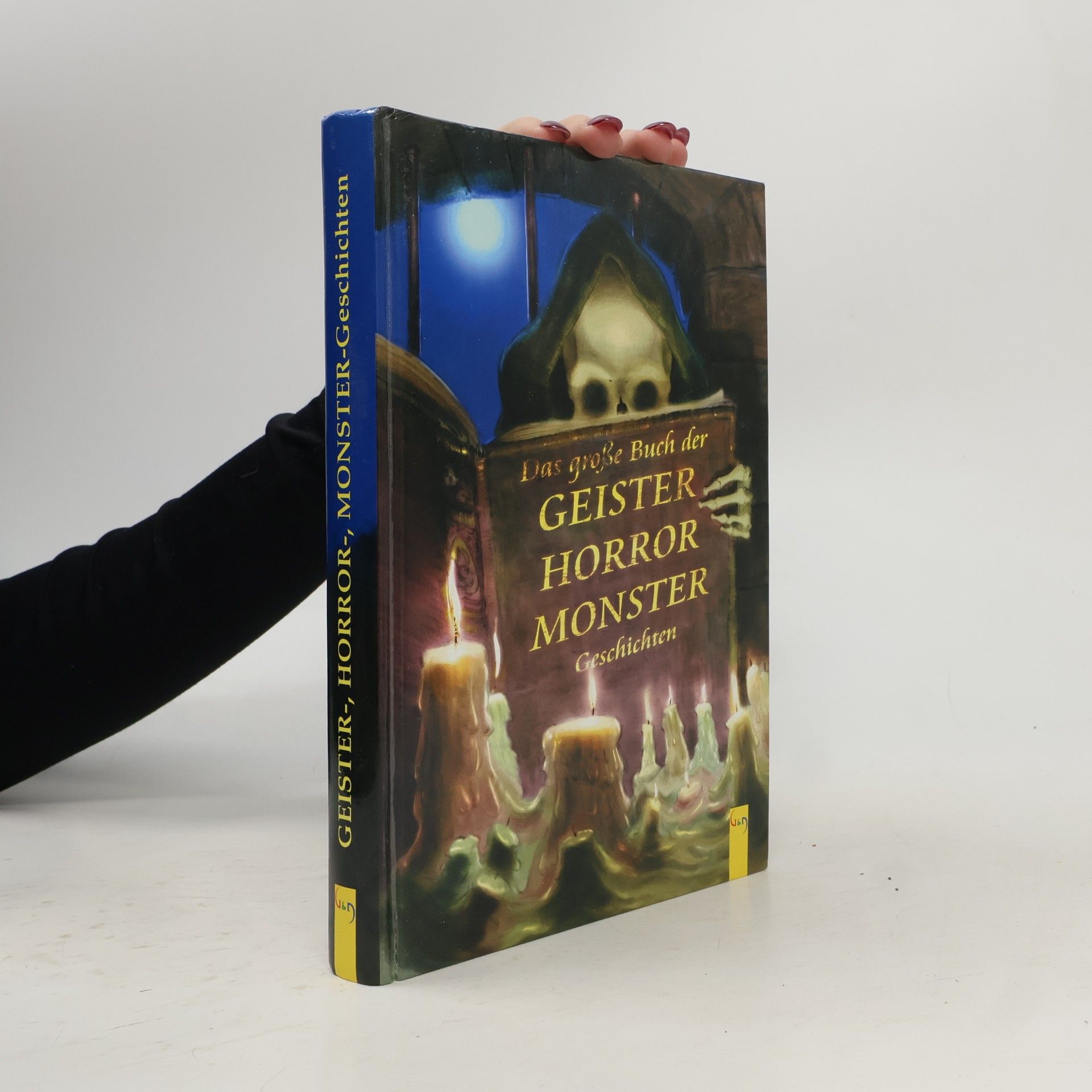 Das grosse Buch der Geister-, Horror-, Monster-Geschichten