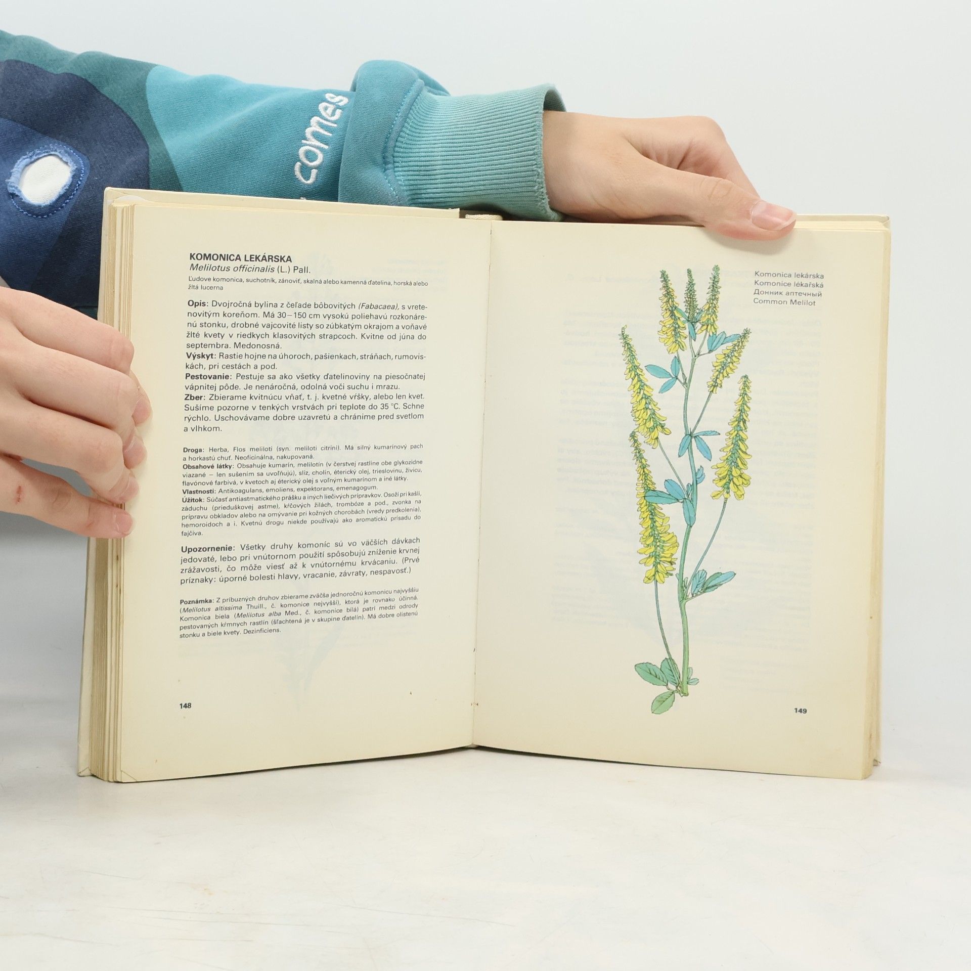 Ludmila Thurzová Malý atlas liečivých rastlín