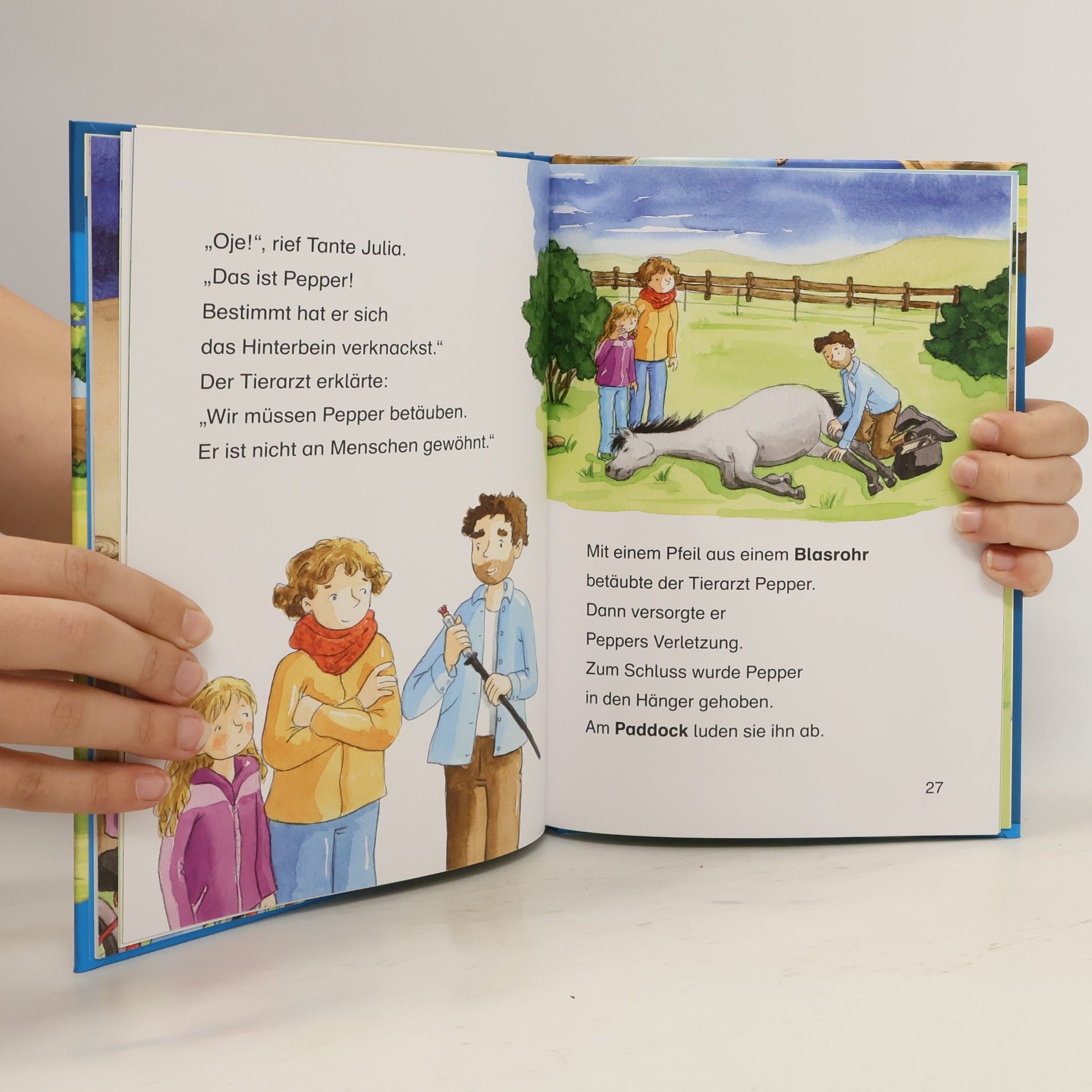 Carmen Hochmann Leselöwen 2. Klasse. Das verletzte Wildpferd