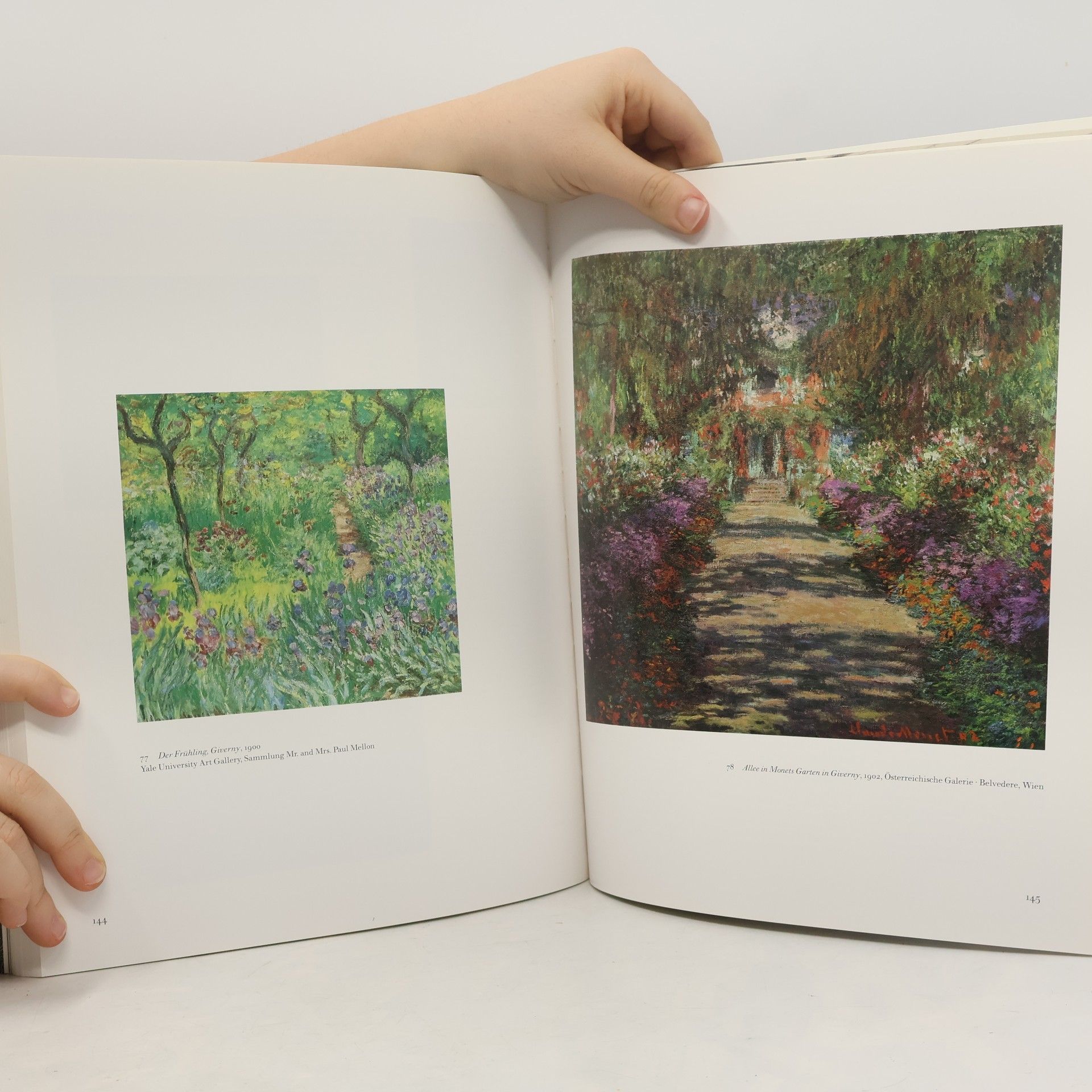Stephan Koja Monet