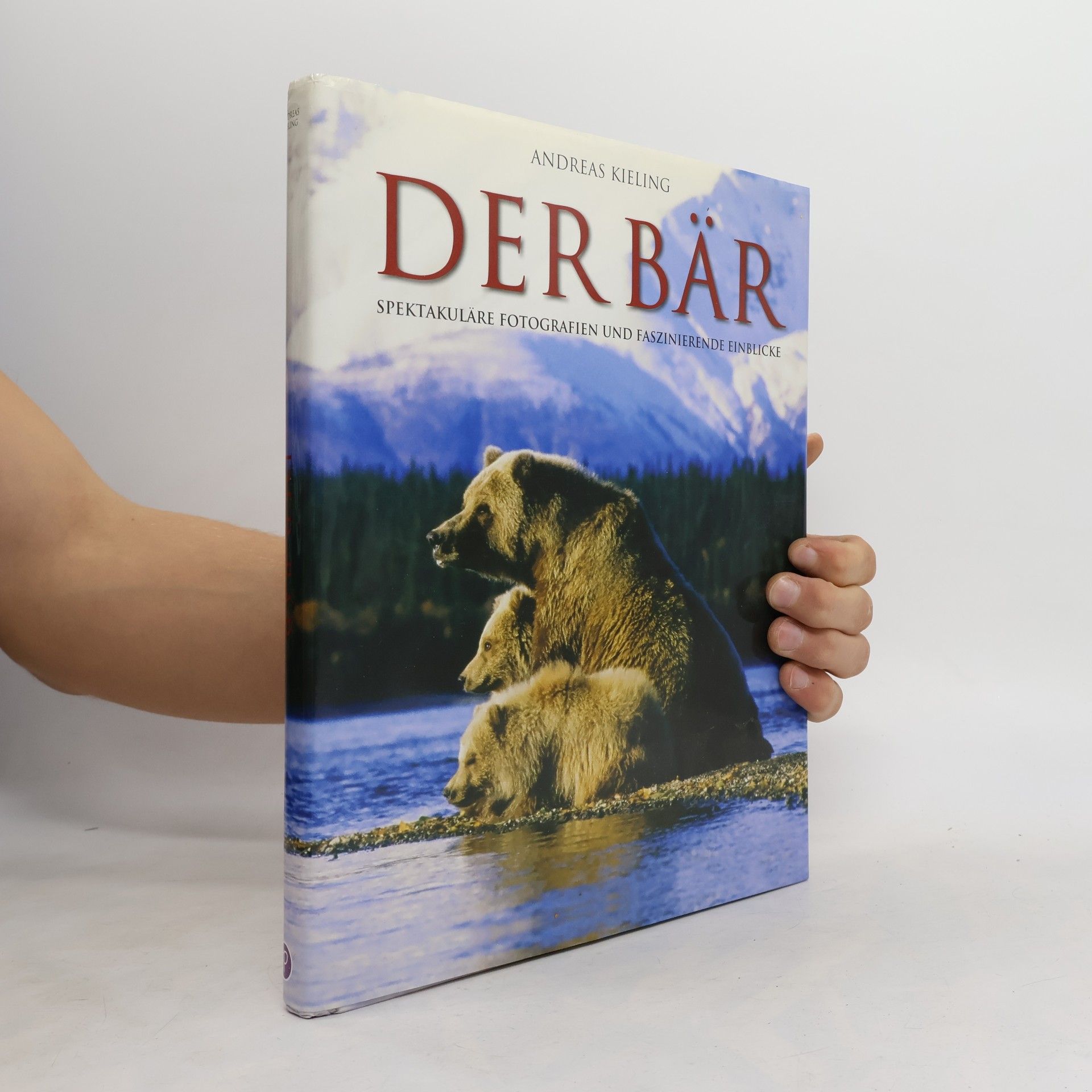 Der Bär