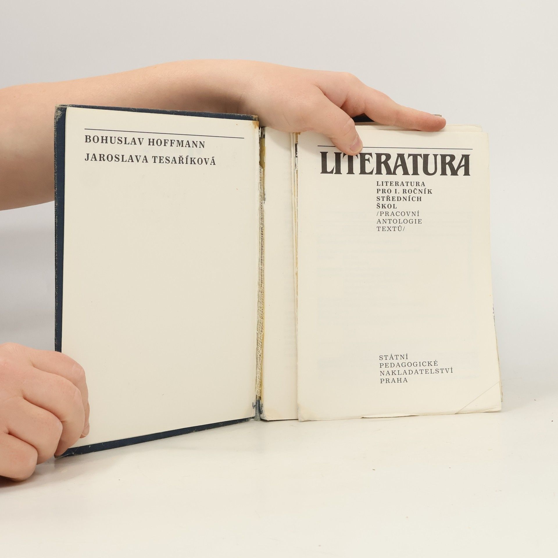 Autorenkollektiv Literatura pro I. ročník středních škol. Pracovní antologie textů