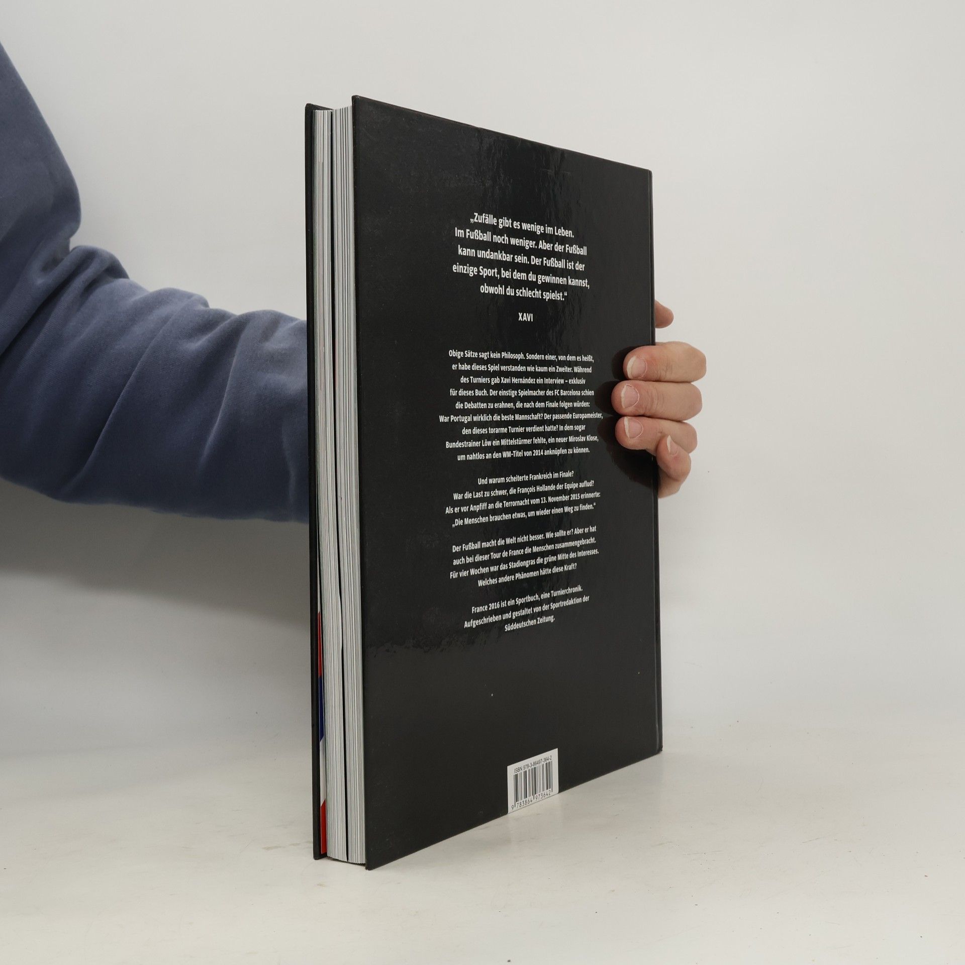 Klaus Hoeltzenbein 2016 Die Europameisterschaft. Das Buch. France