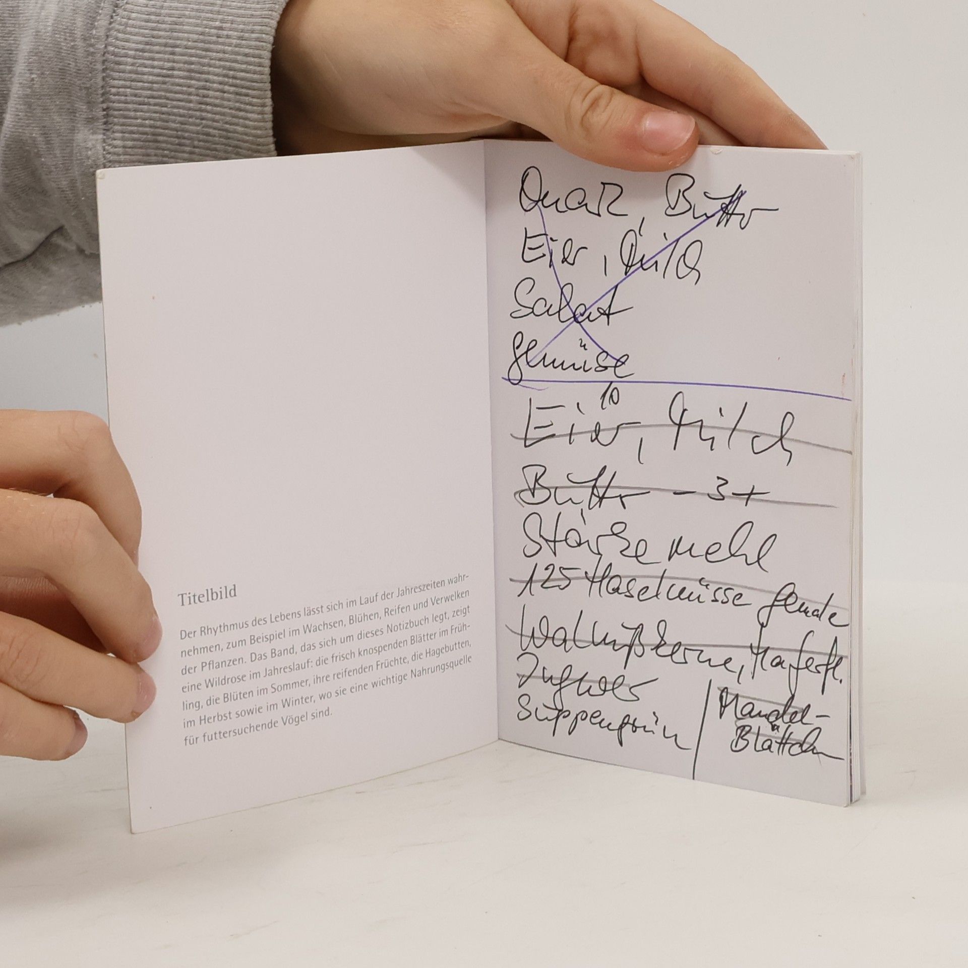 Various authors Rhythmus trägt Leben