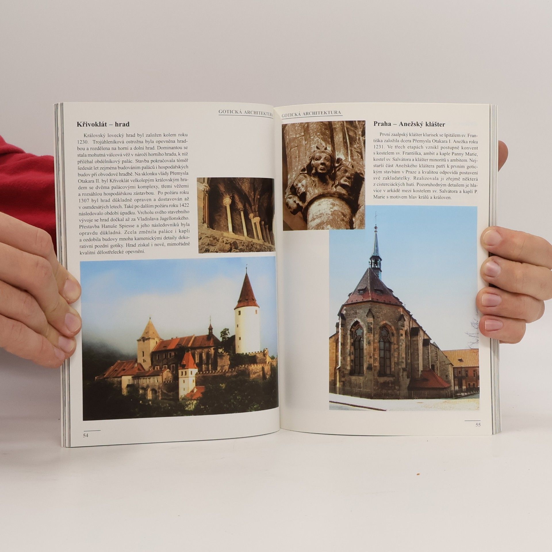 Petr Dvořáček Architektura českých zemí